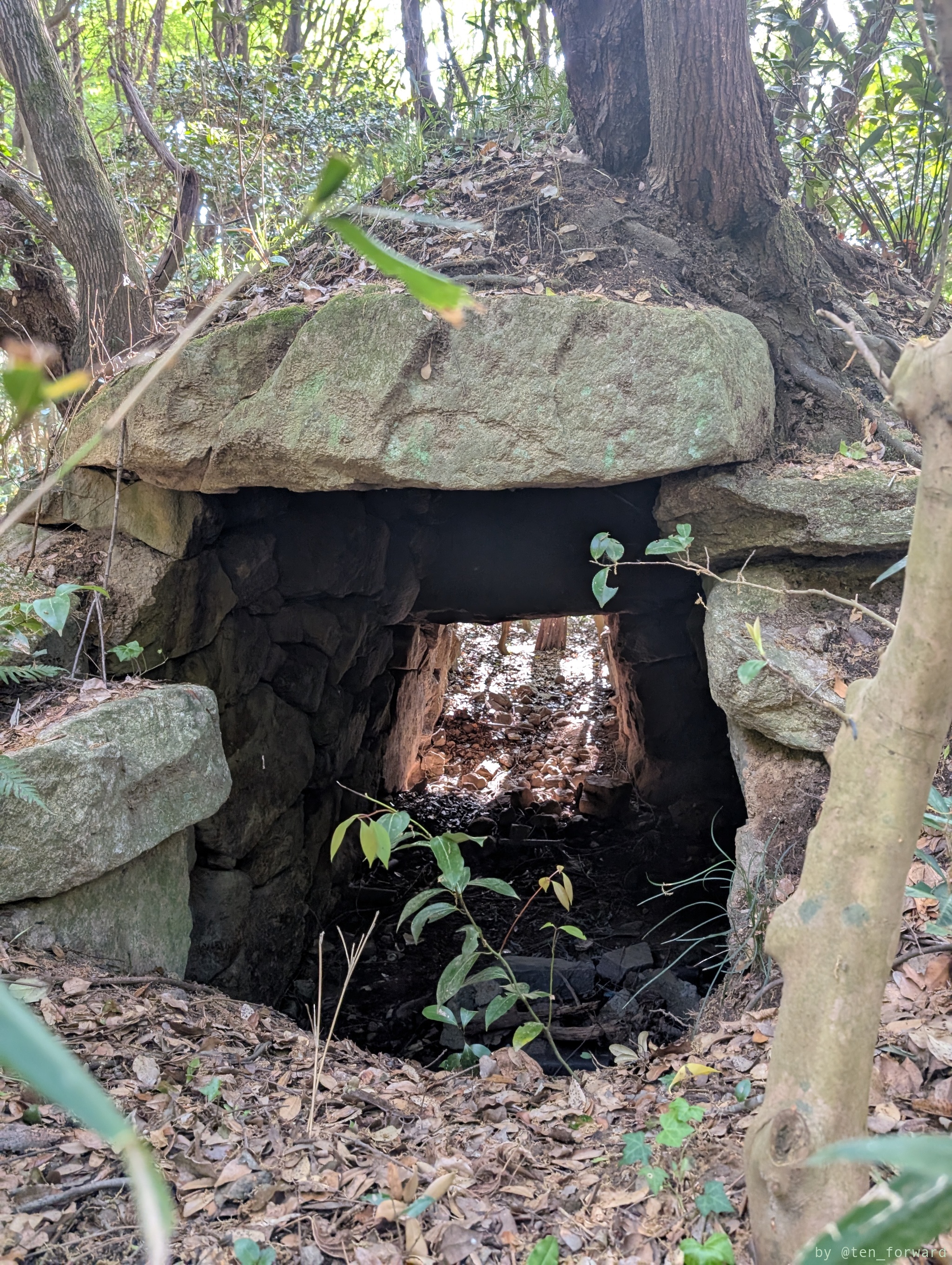 服部川 73 号墳（裏側から）