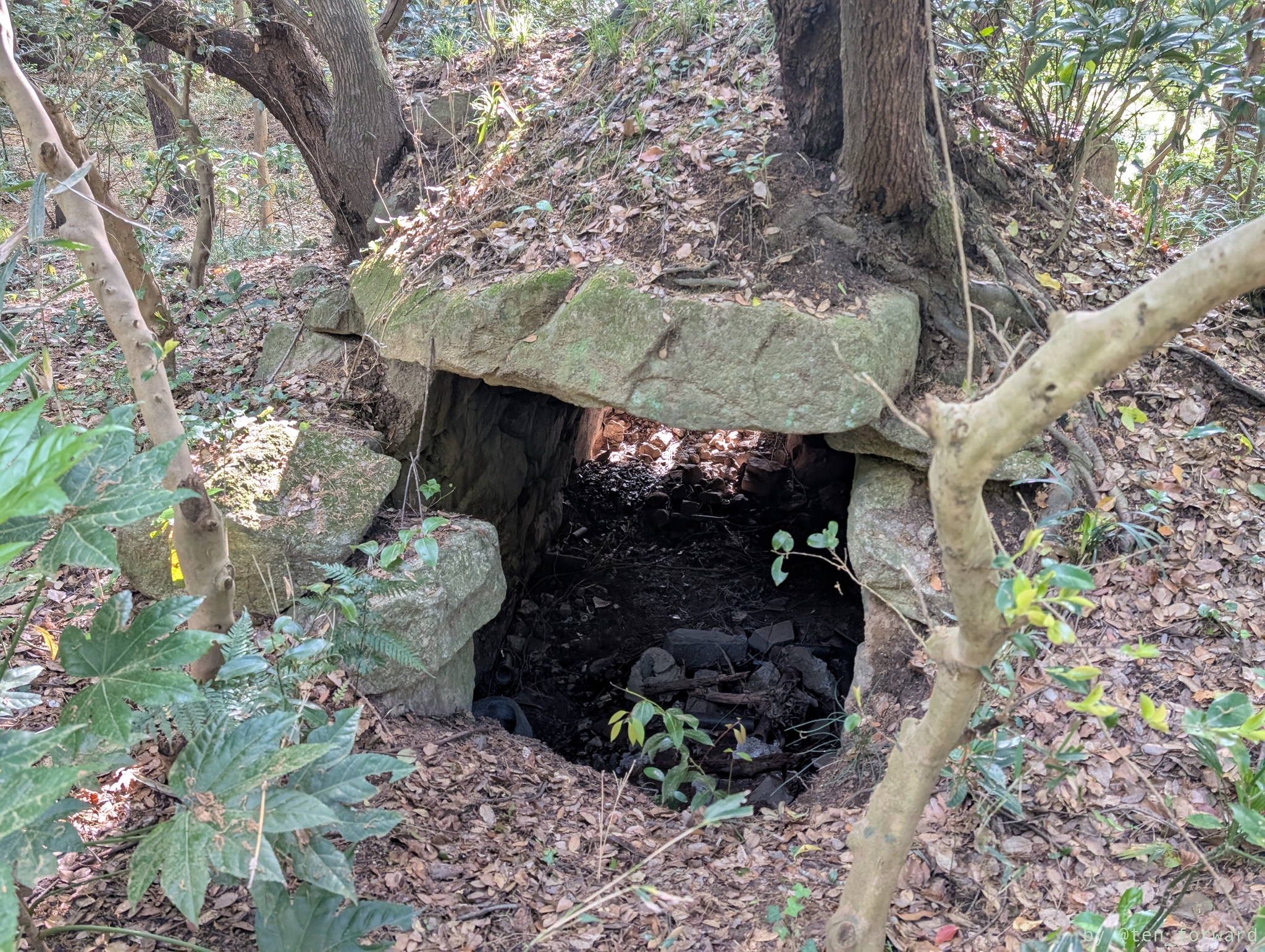 服部川 73 号墳（裏側から）