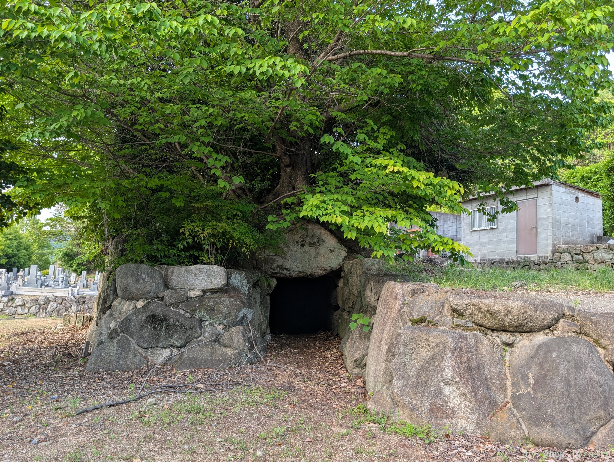 服部川 8 号墳