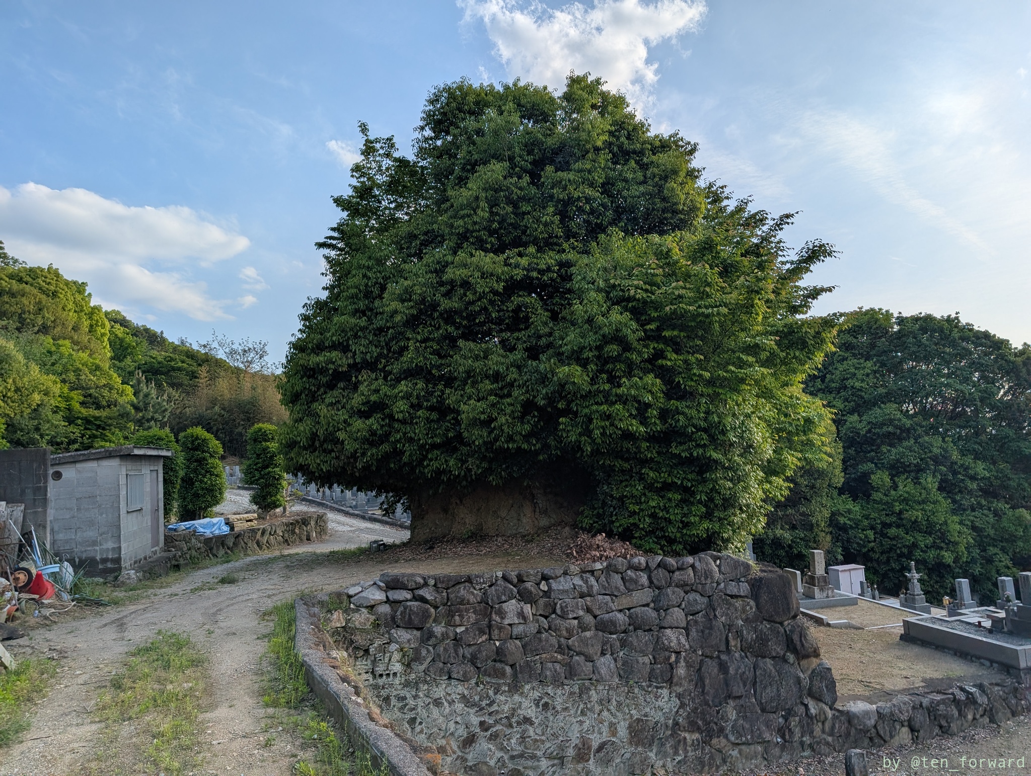 服部川 8 号墳裏側