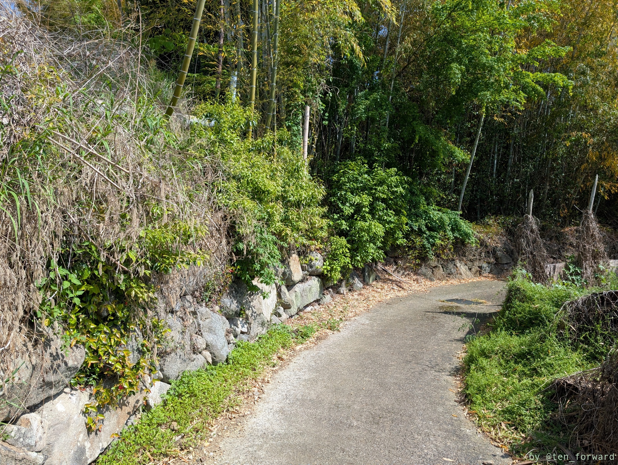 俊徳丸鏡塚古墳から39号墳への道