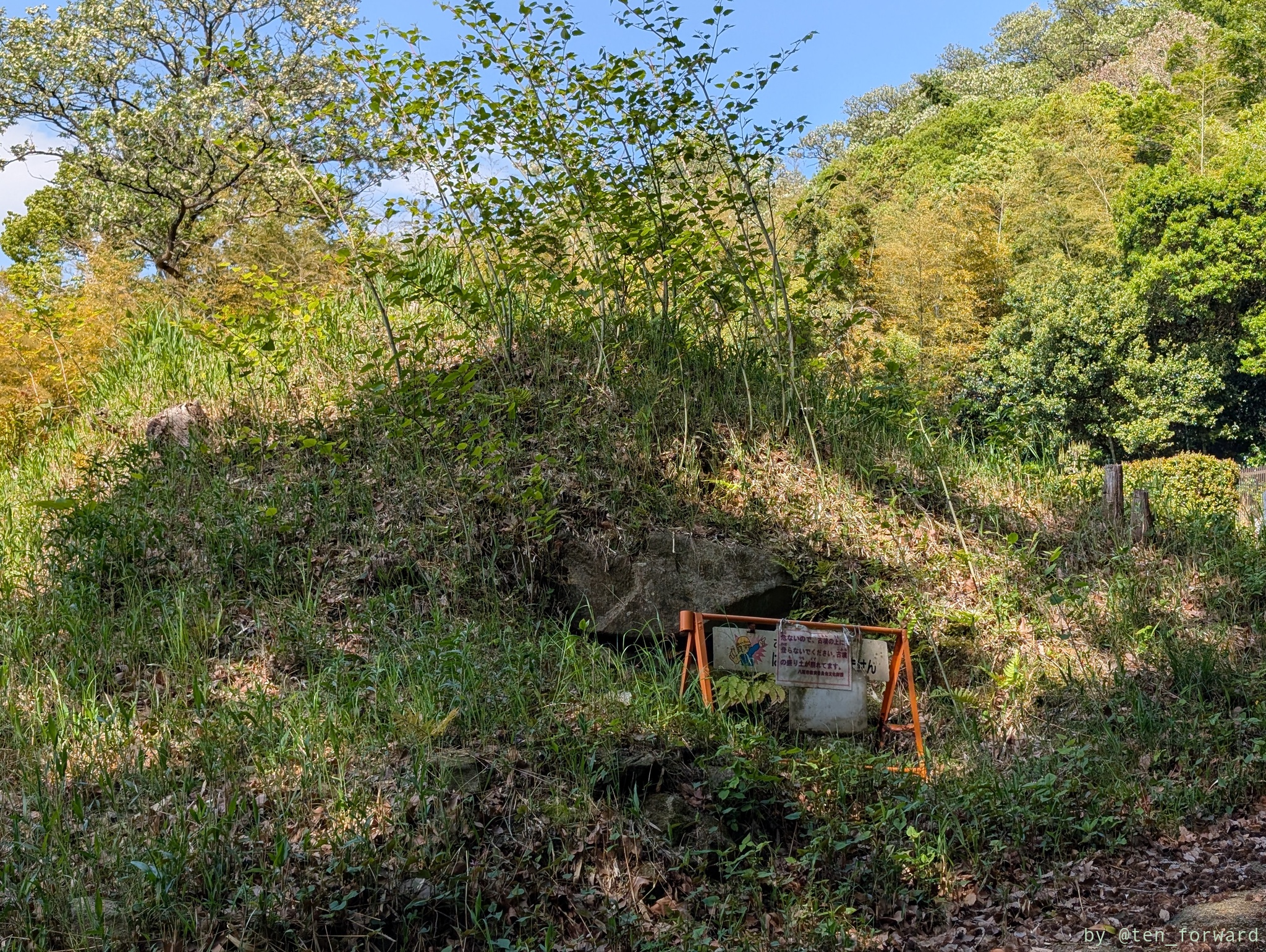 大窪・山畑 6 号墳