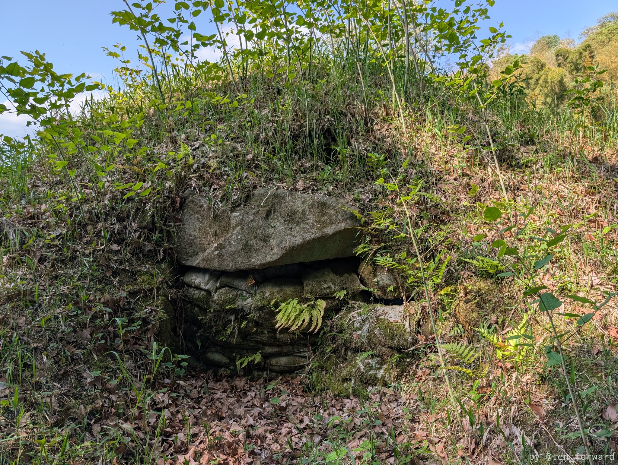 大窪・山畑 6 号墳