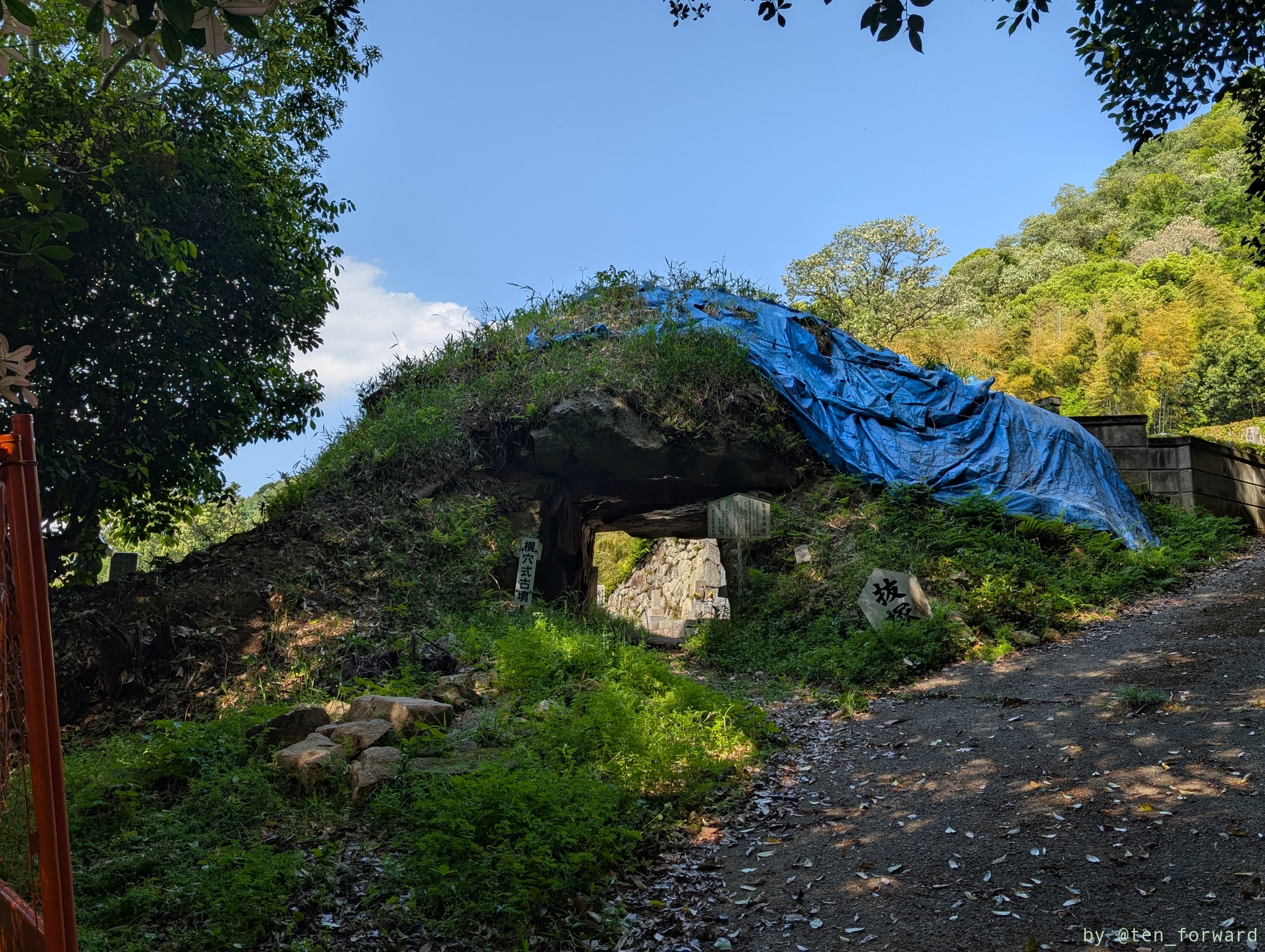 抜塚（大窪・山畑 7 号墳）