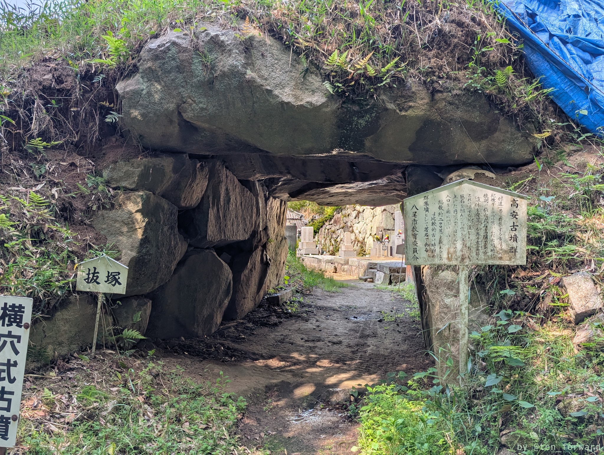 抜塚（大窪・山畑 7 号墳）