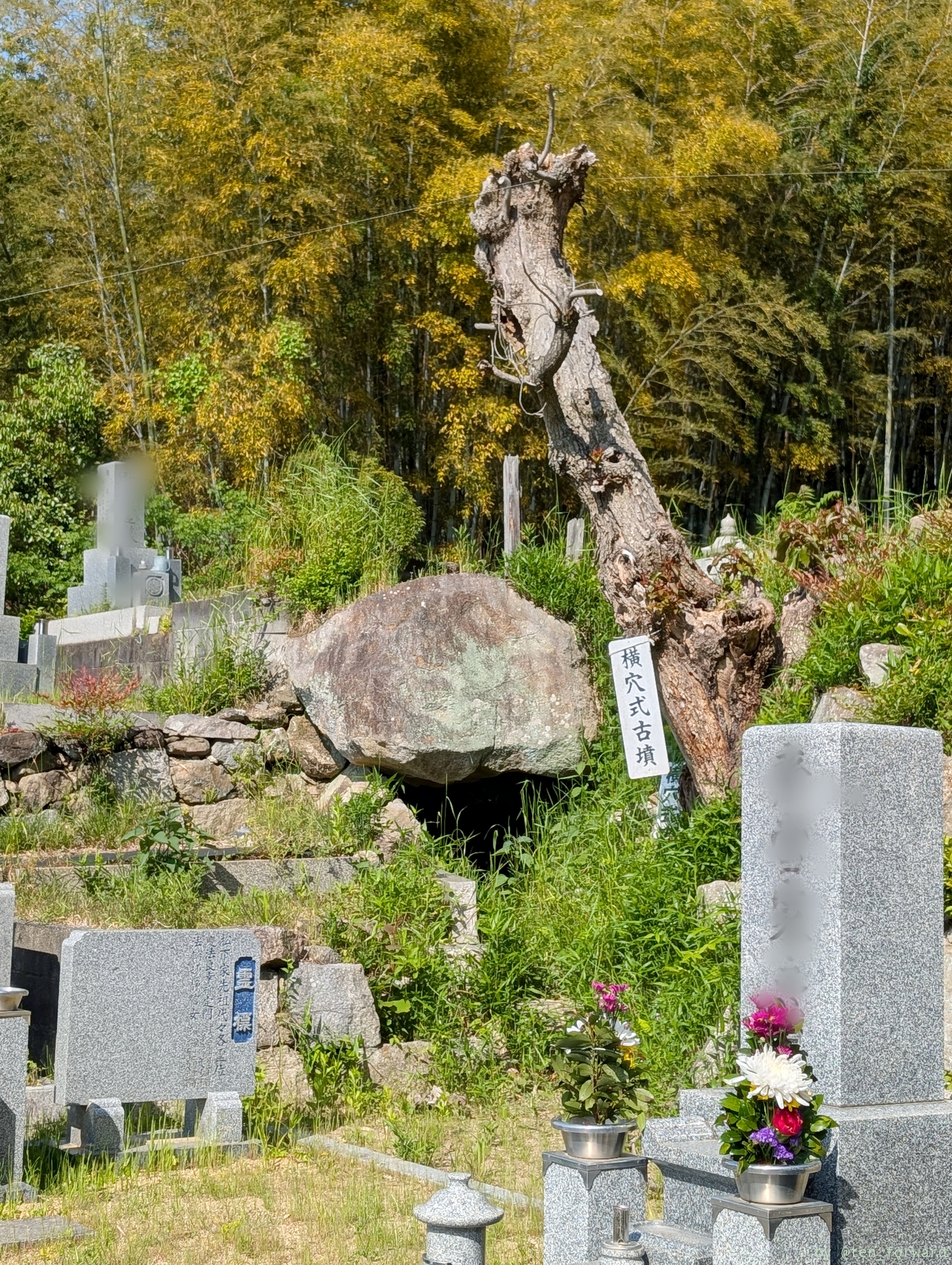 大窪・山畑 8 号墳