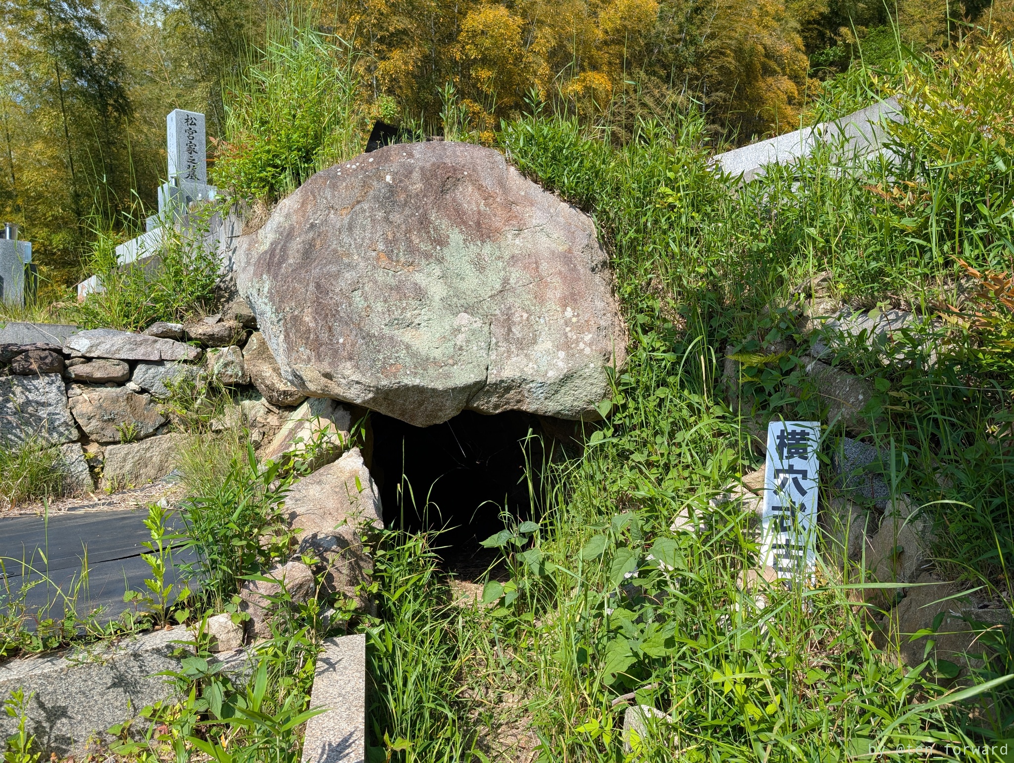 大窪・山畑 8 号墳