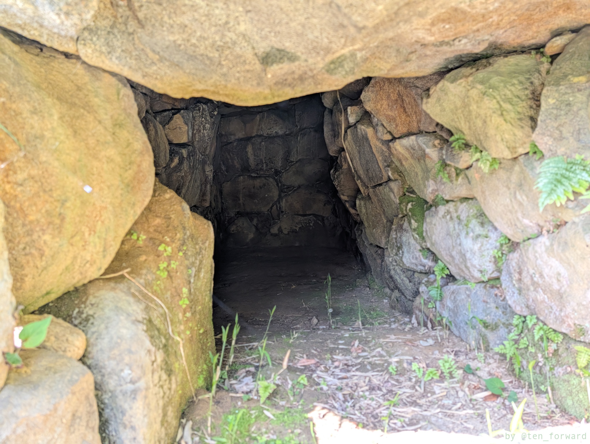 大窪・山畑 8 号墳
