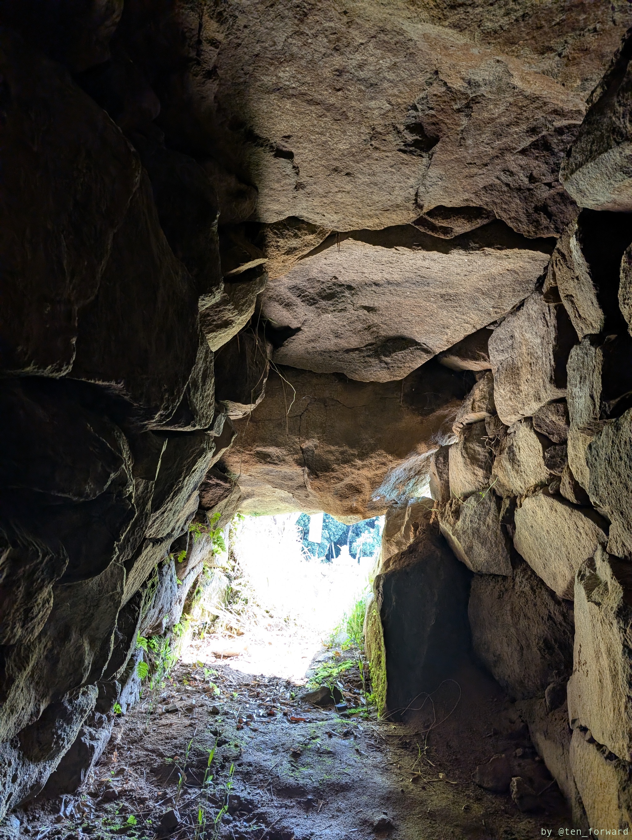 大窪・山畑 8 号墳