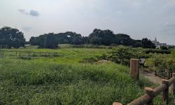 Featured image of post 津堂城山古墳