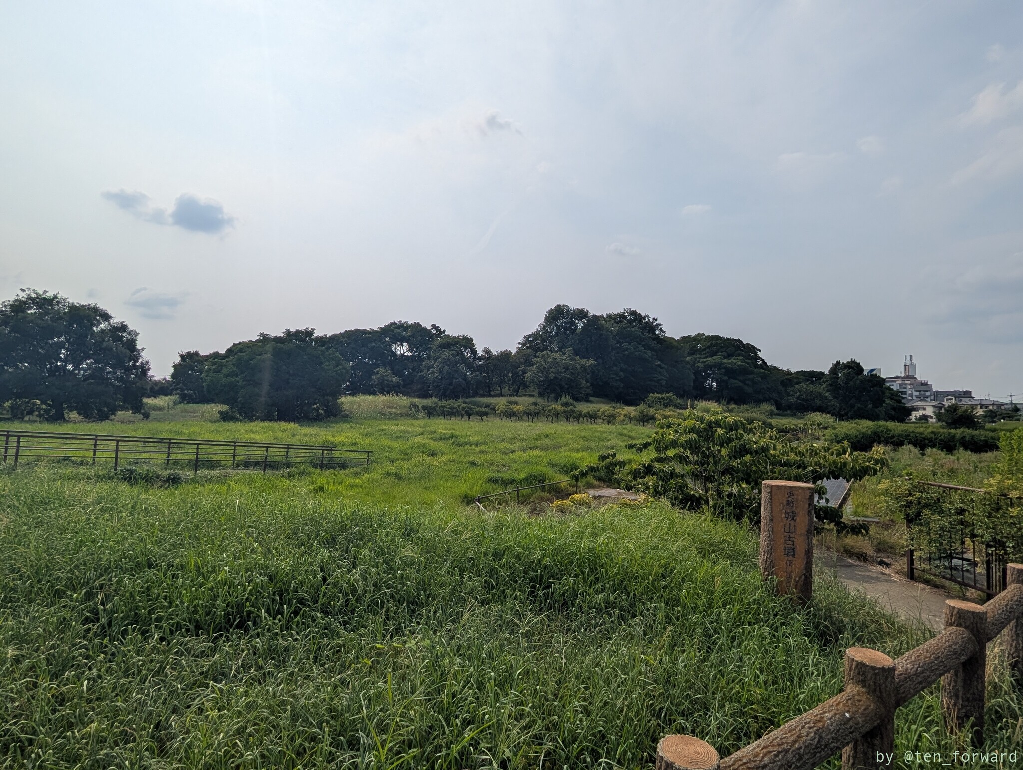 津堂城山古墳