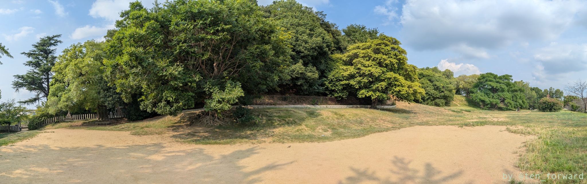 津堂城山古墳