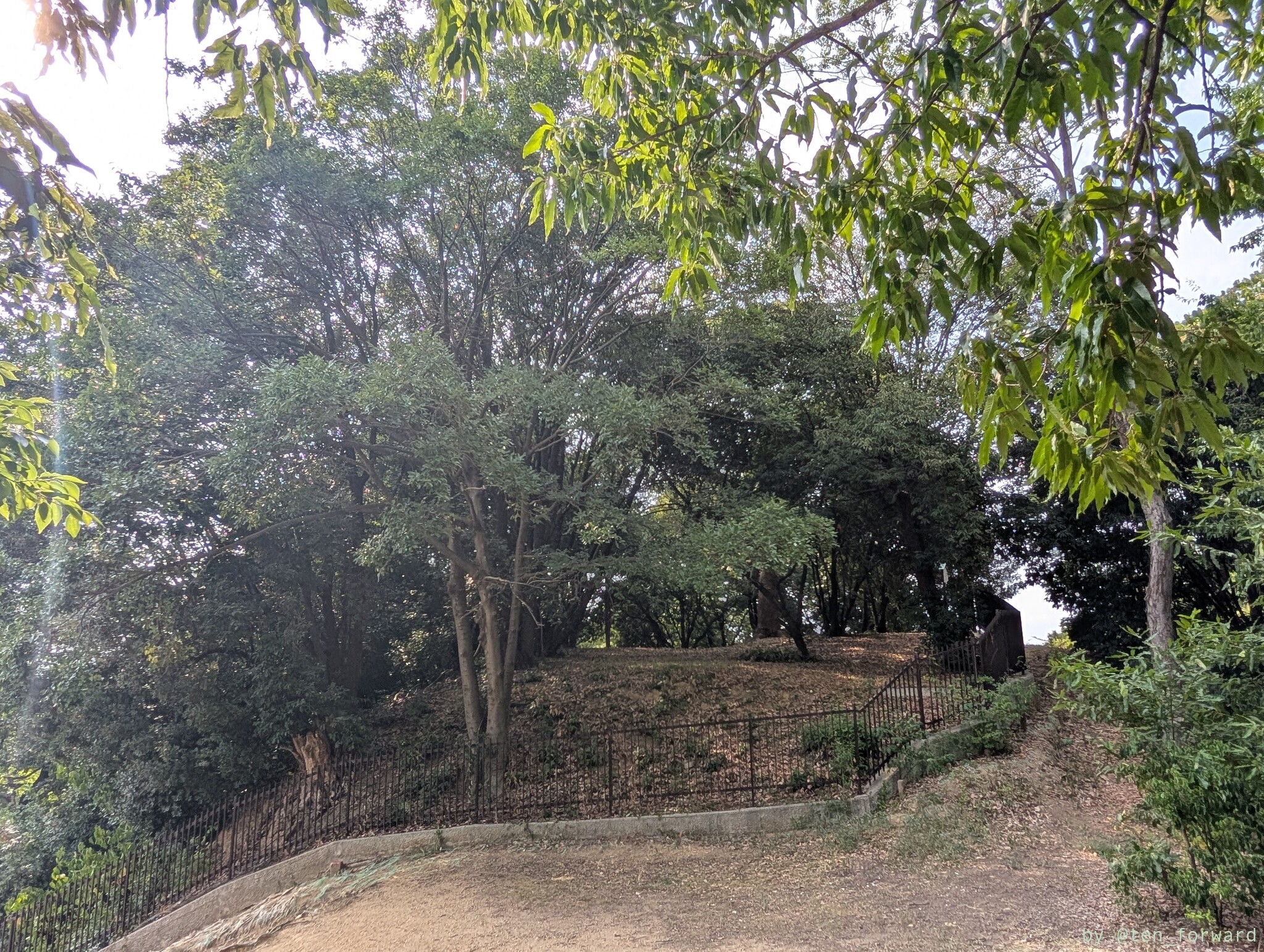 藤井寺陵墓参考地