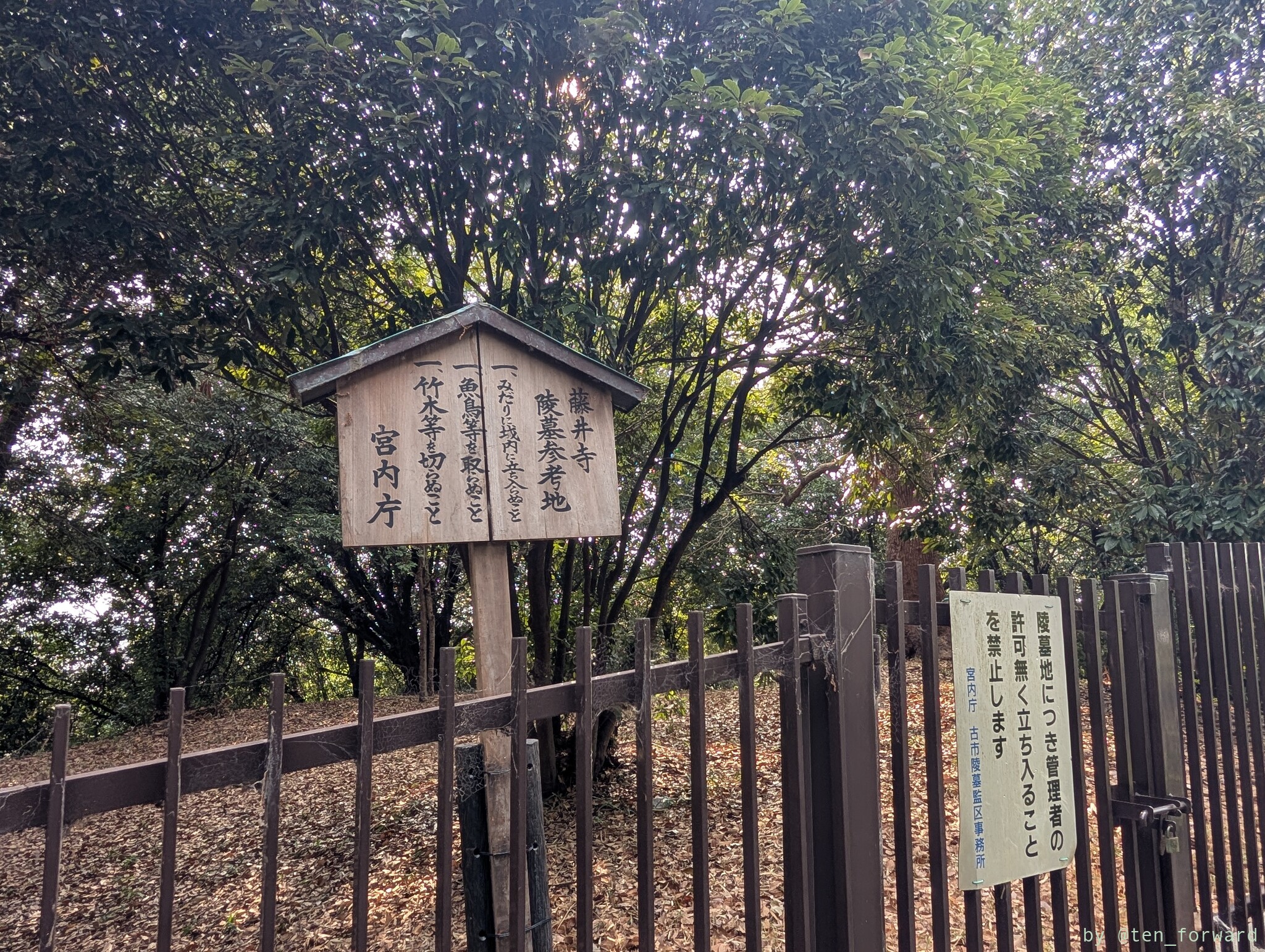 藤井寺陵墓参考地