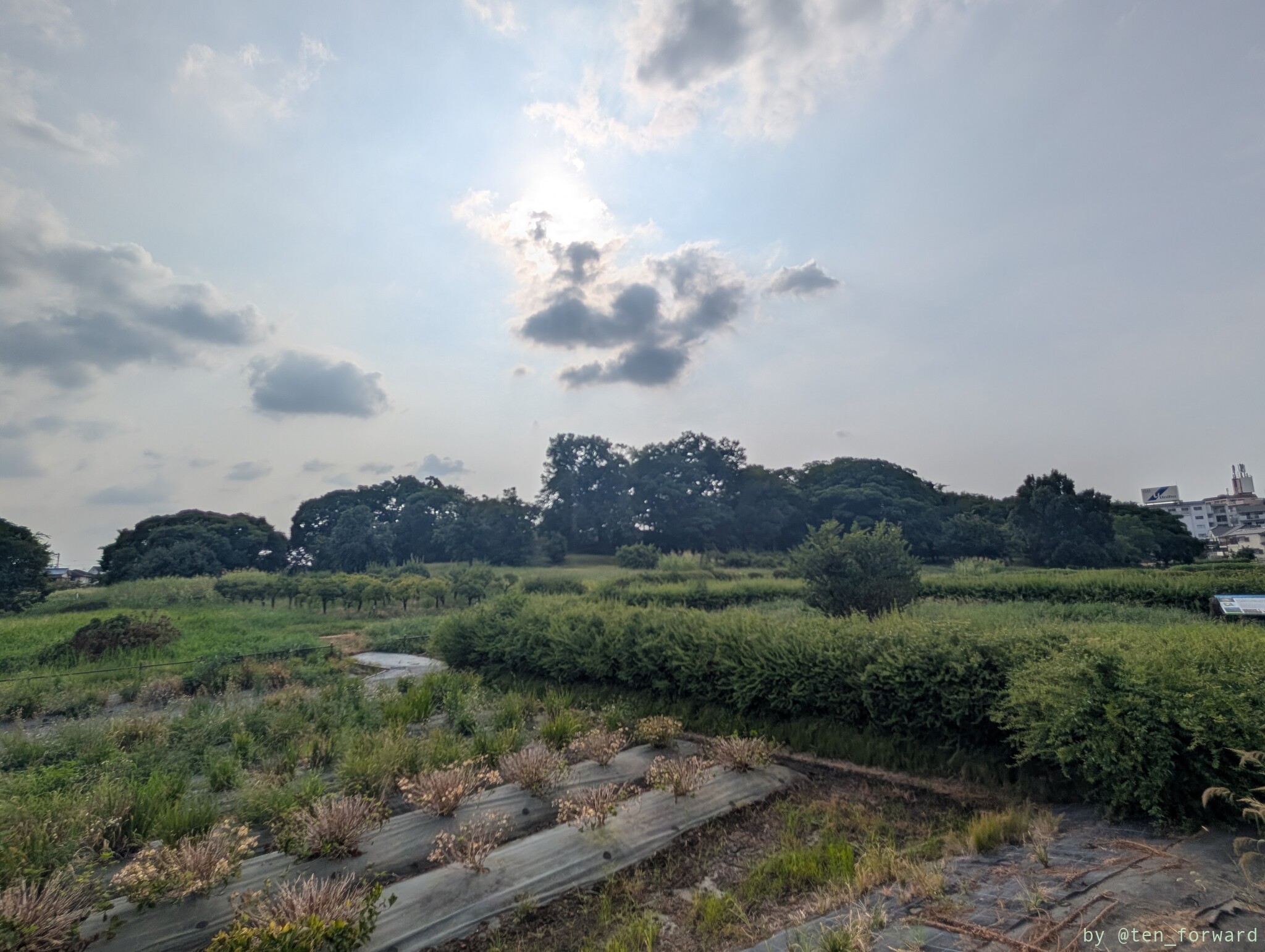 津堂城山古墳