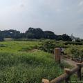 津堂城山古墳