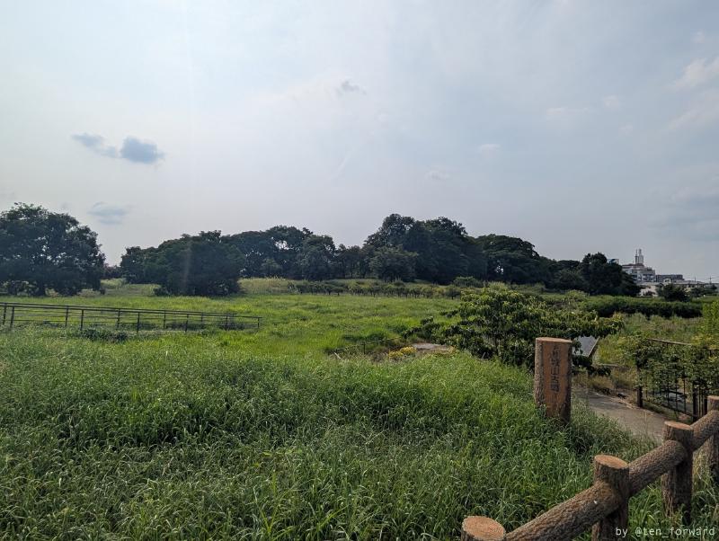 Featured image of post 津堂城山古墳