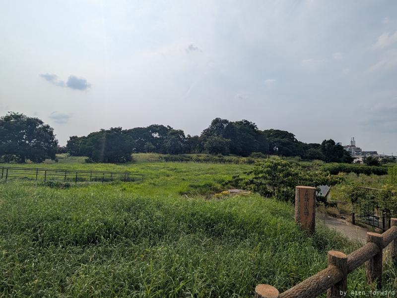 Featured image of post 津堂城山古墳