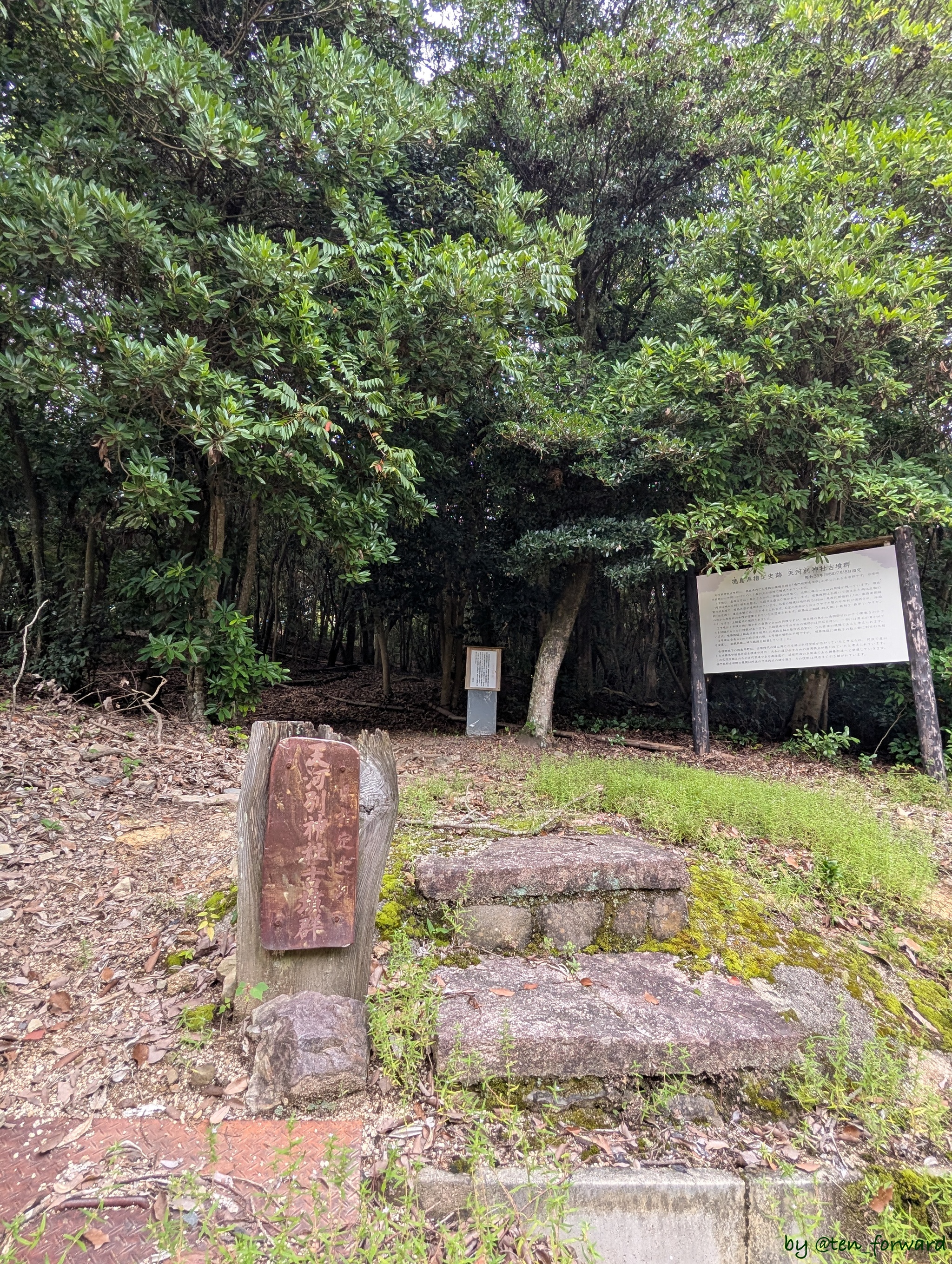 天河別神社古墳群への入口(?)