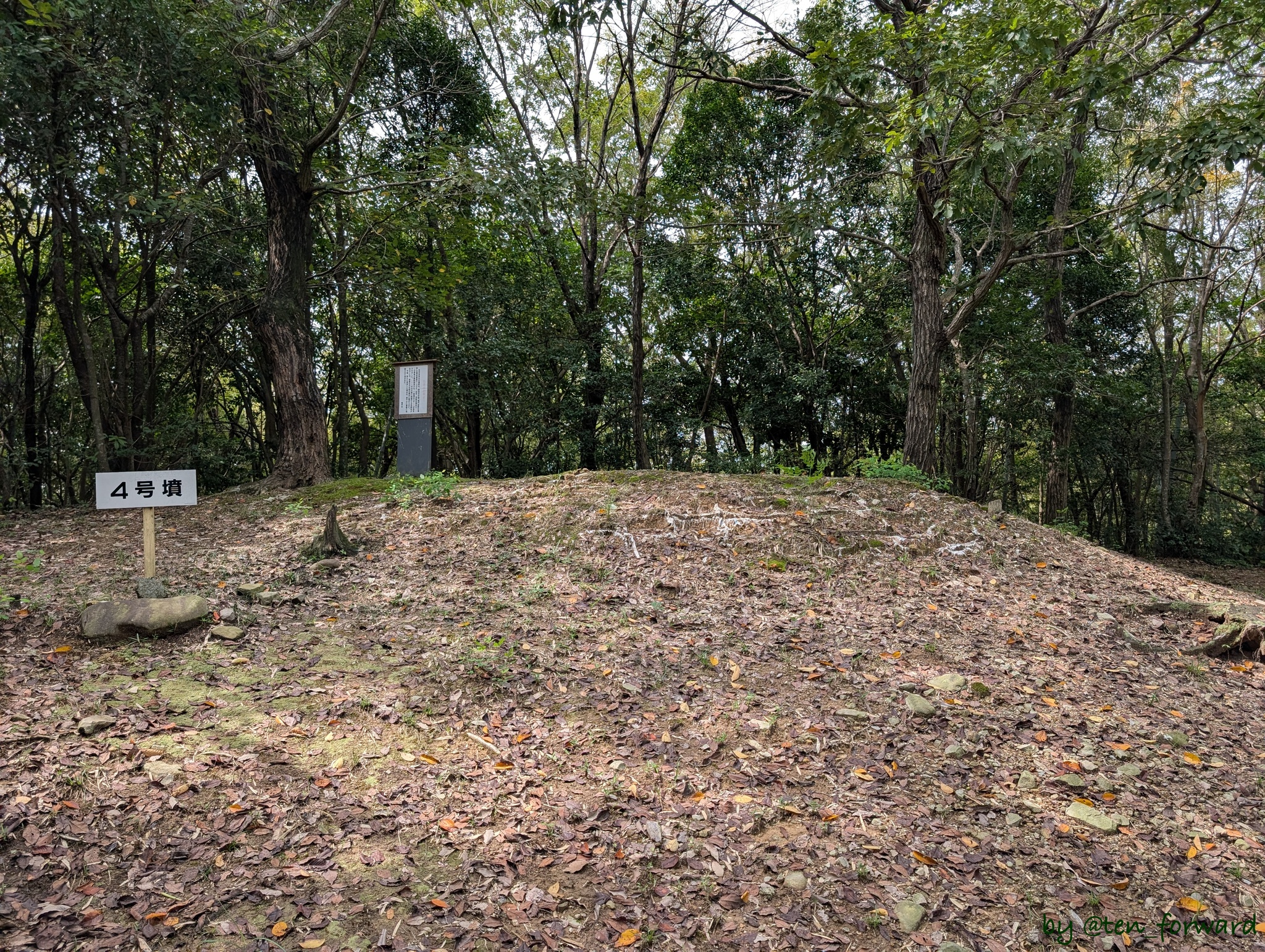 天河別神社古墳群4号墳