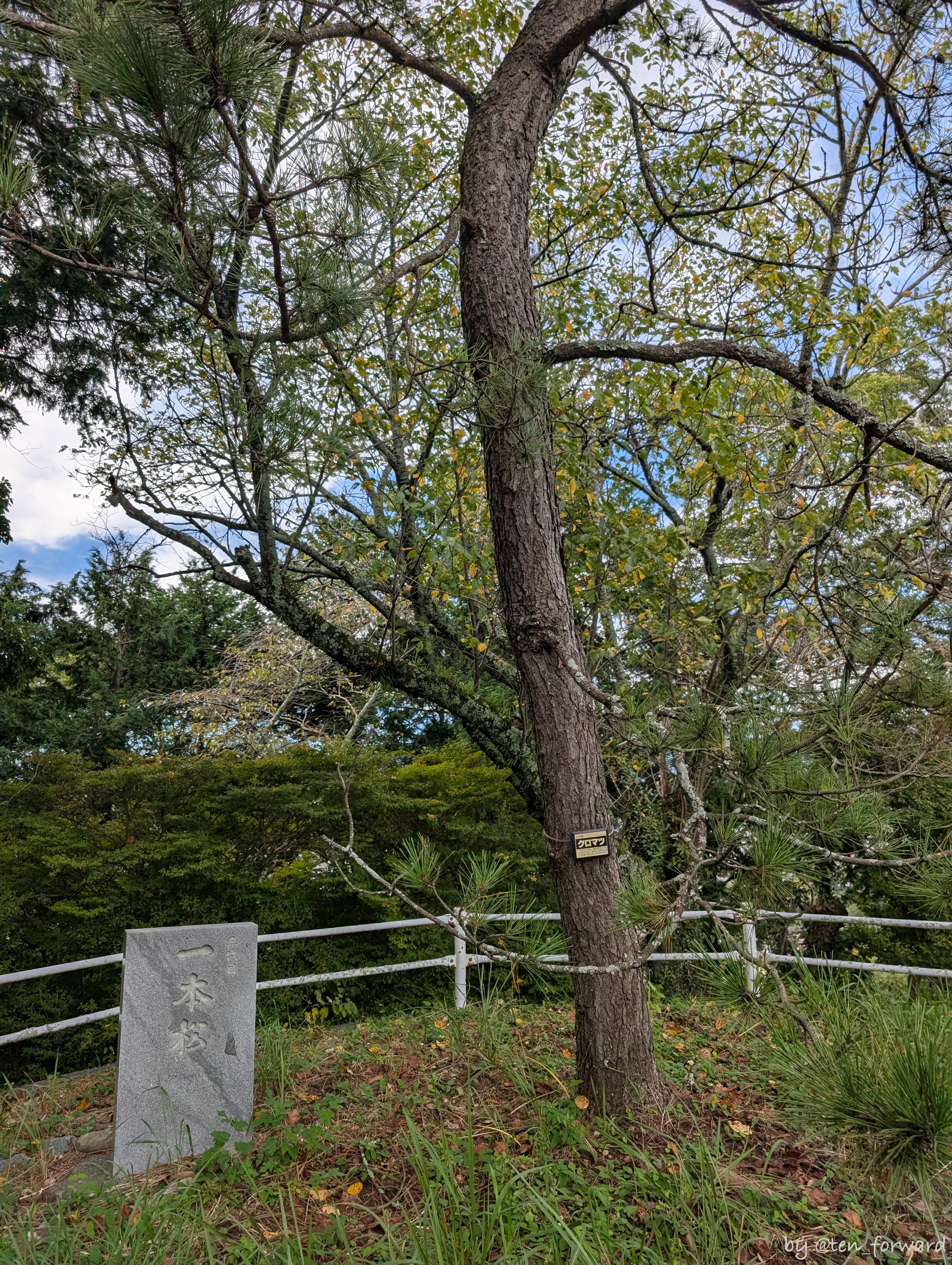 賤機山古墳群 1 号墳