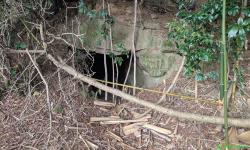 Featured image of post 高安千塚古墳群 大窪・山畑支群（2）