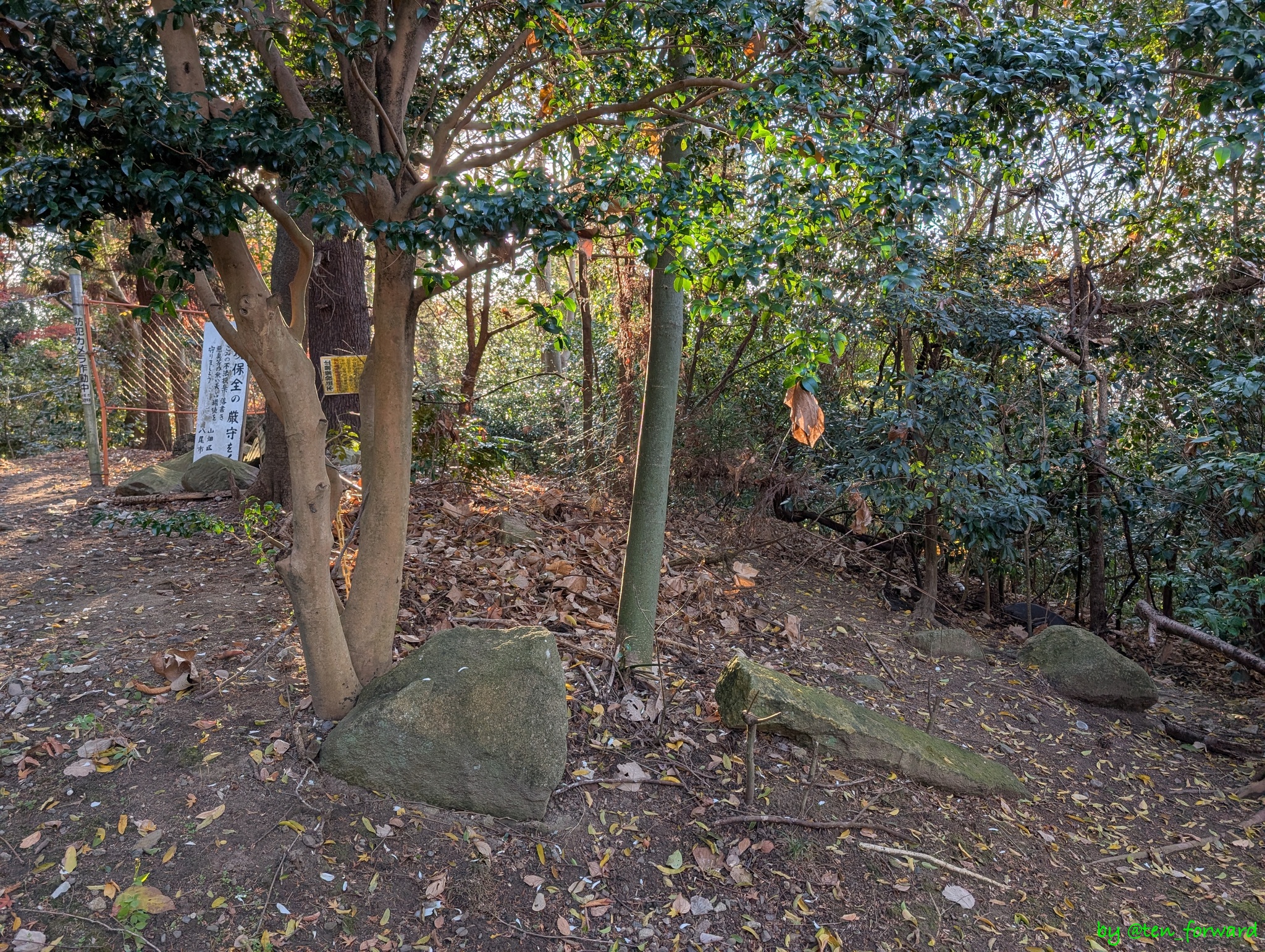 上記地図からするとこのあたりが3号墳