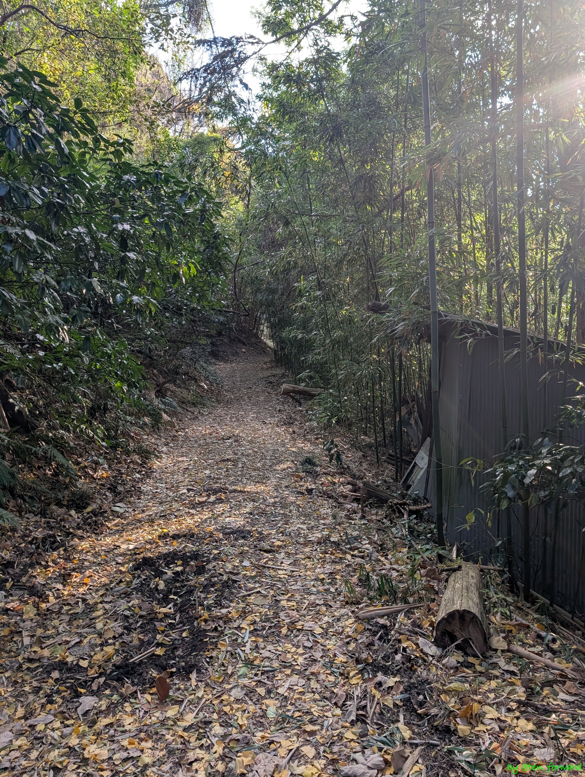 1号墳上の道（地図の緑）