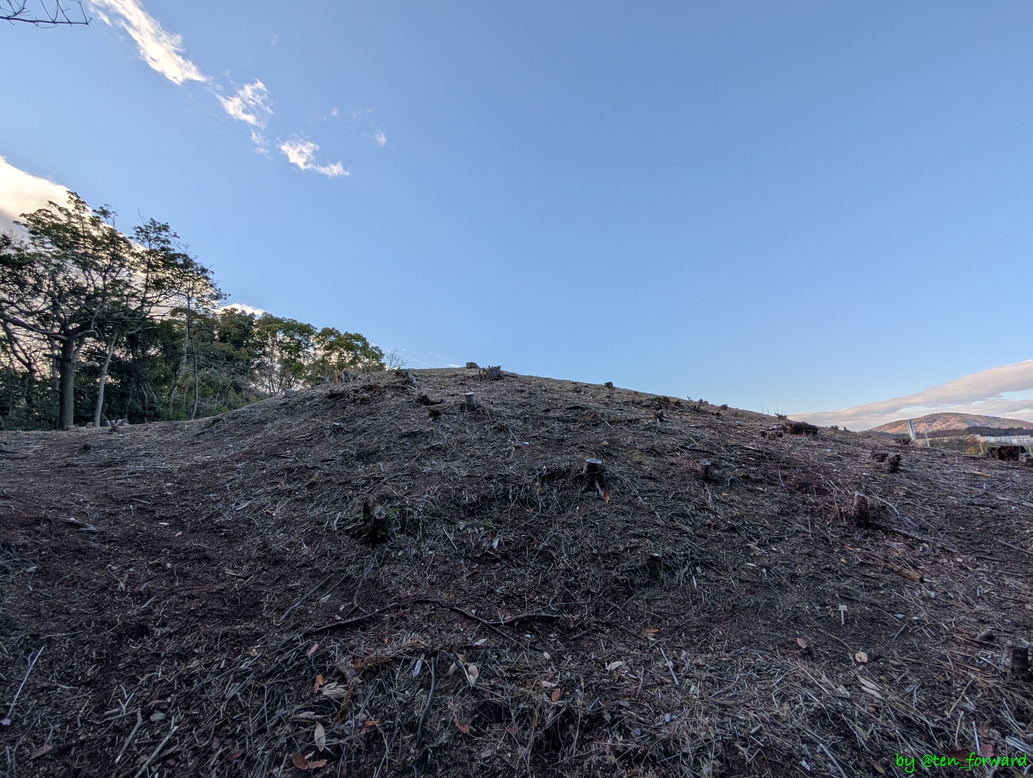 安威0号墳 南東から墳頂