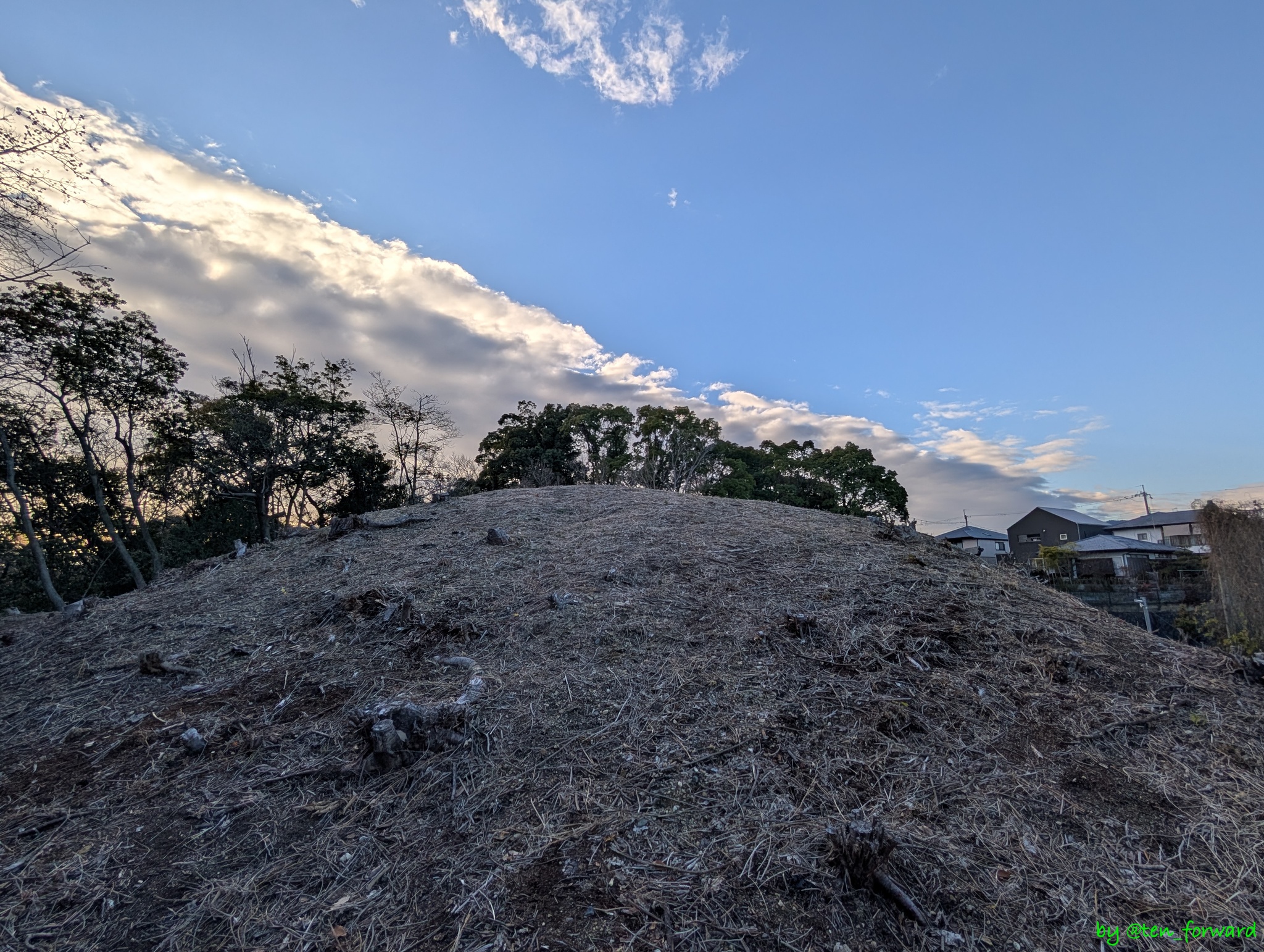 安威0号墳 東から墳頂