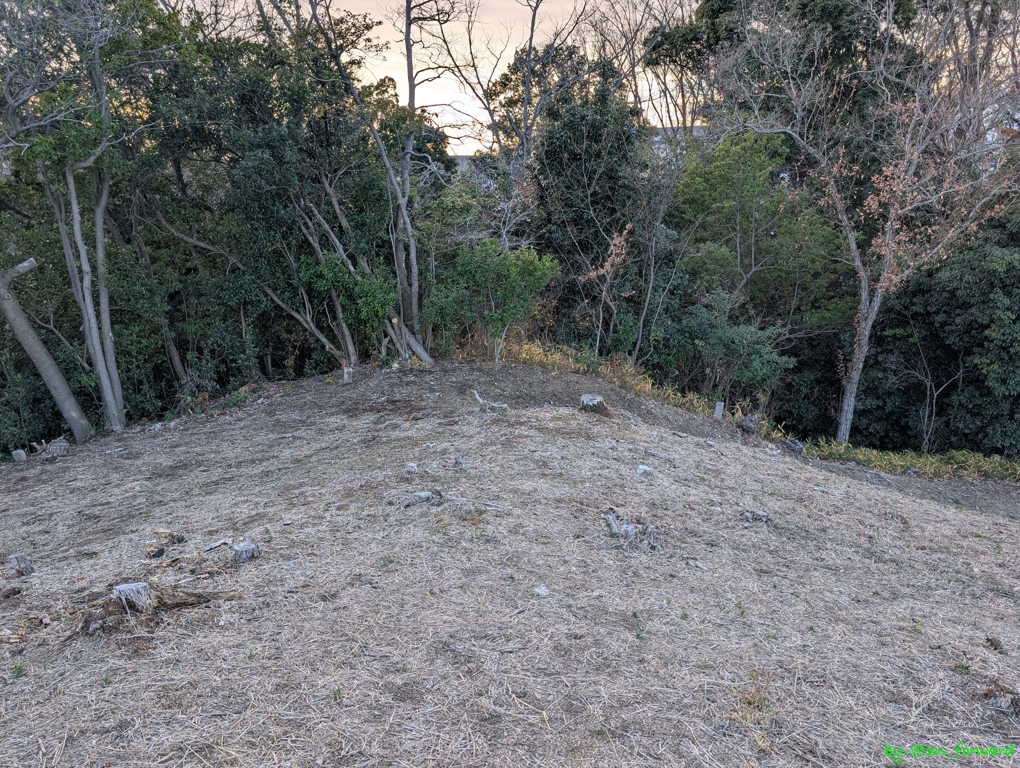 安威0号墳 墳頂から南