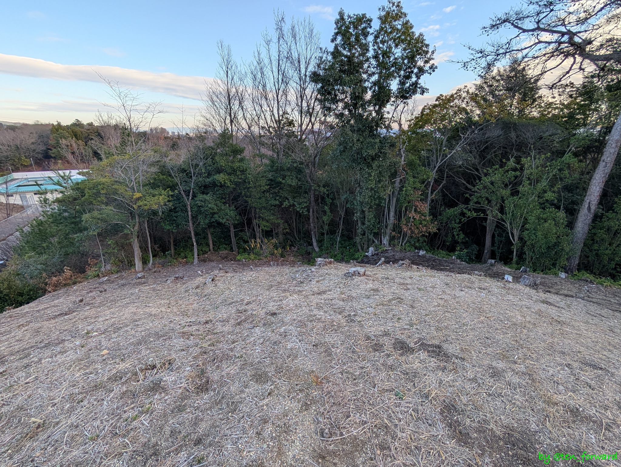 安威0号墳 墳頂から東