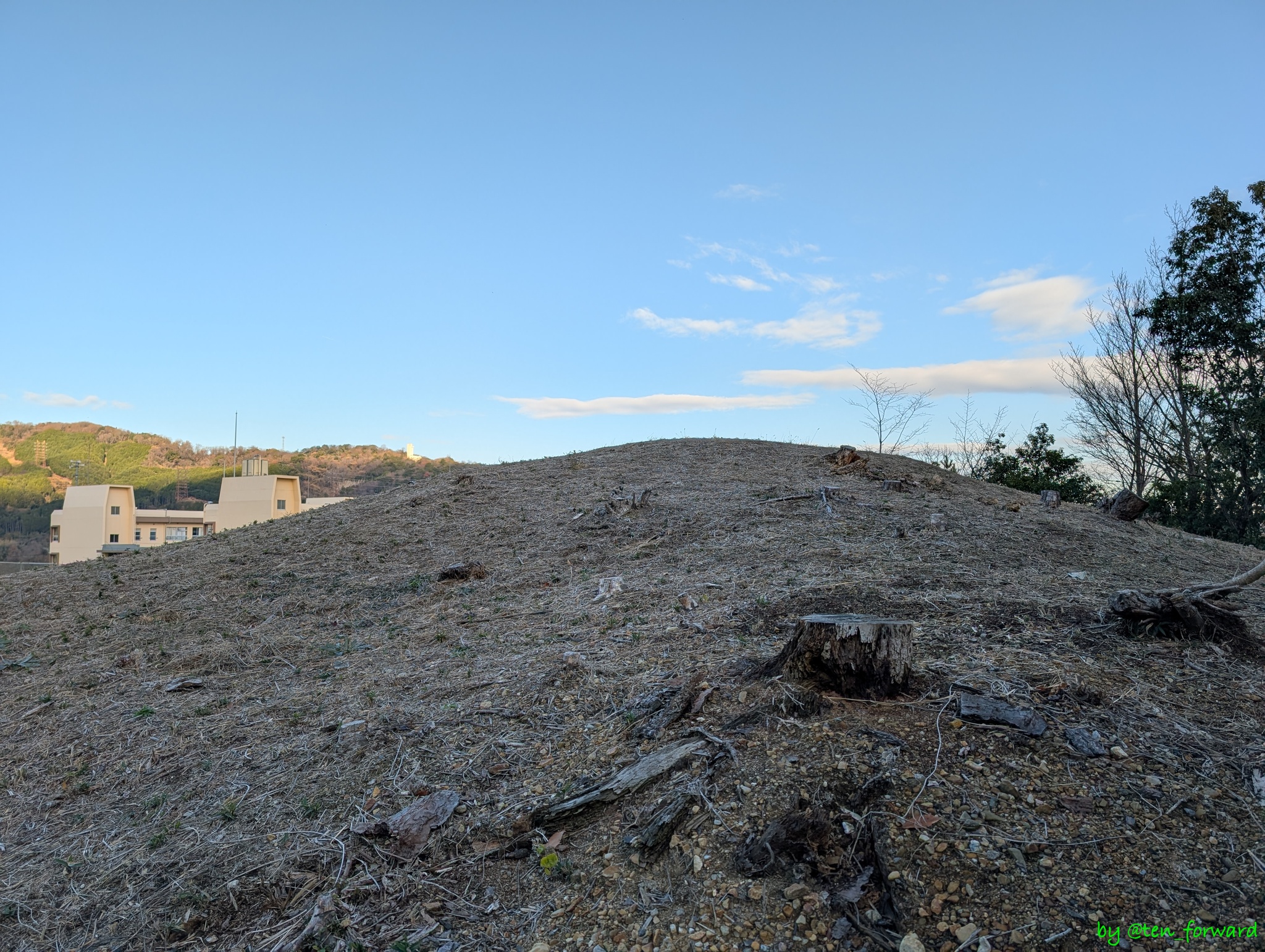 安威0号墳 墳頂付近