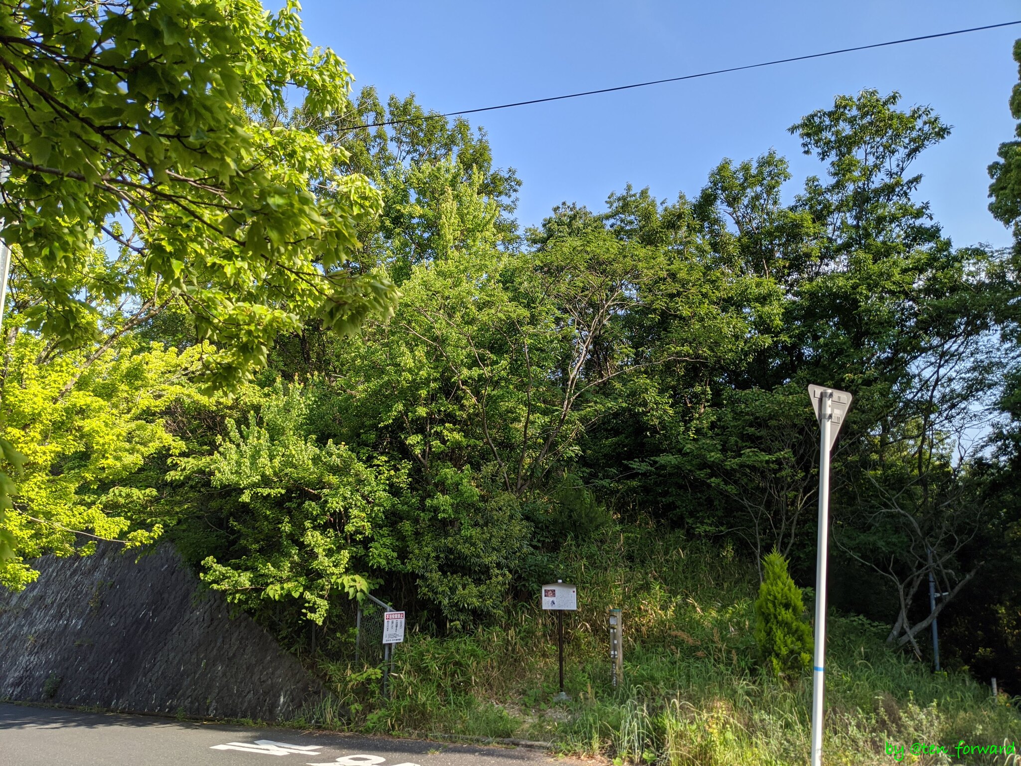 2020年5月安威0号墳