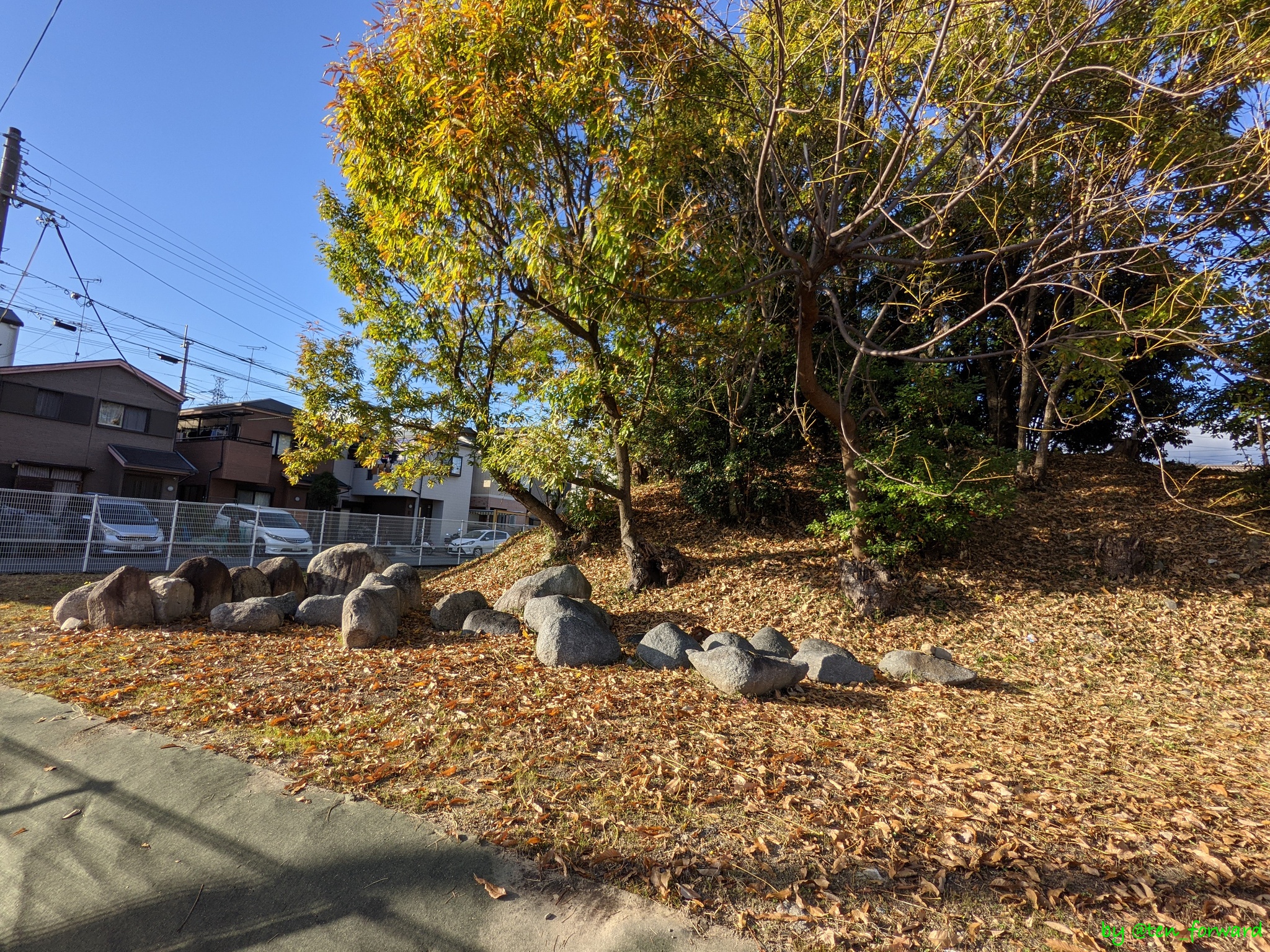 鼻摺古墳（2020年11月）