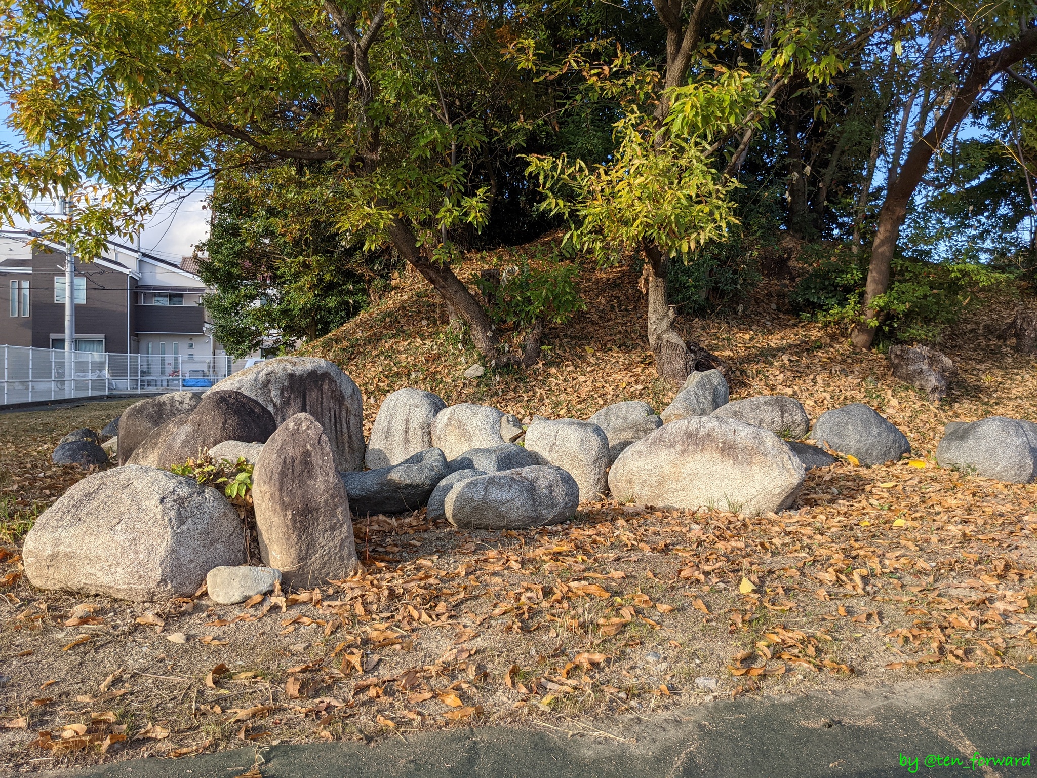 鼻摺古墳（2020年11月）