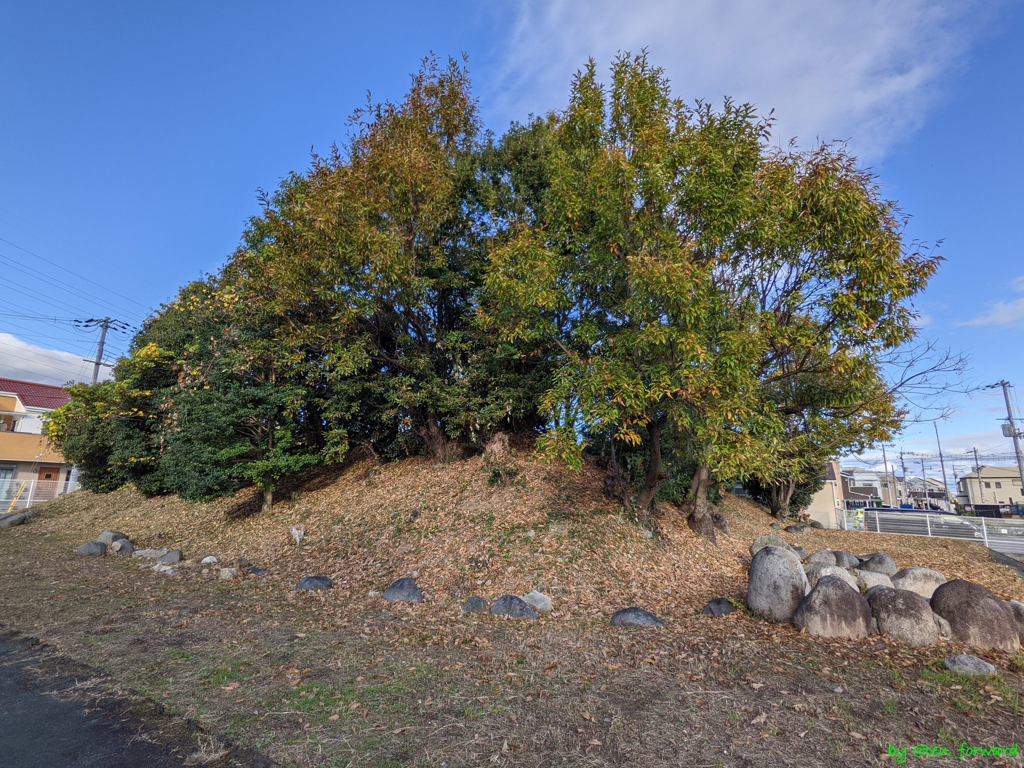 鼻摺古墳（2020年11月）