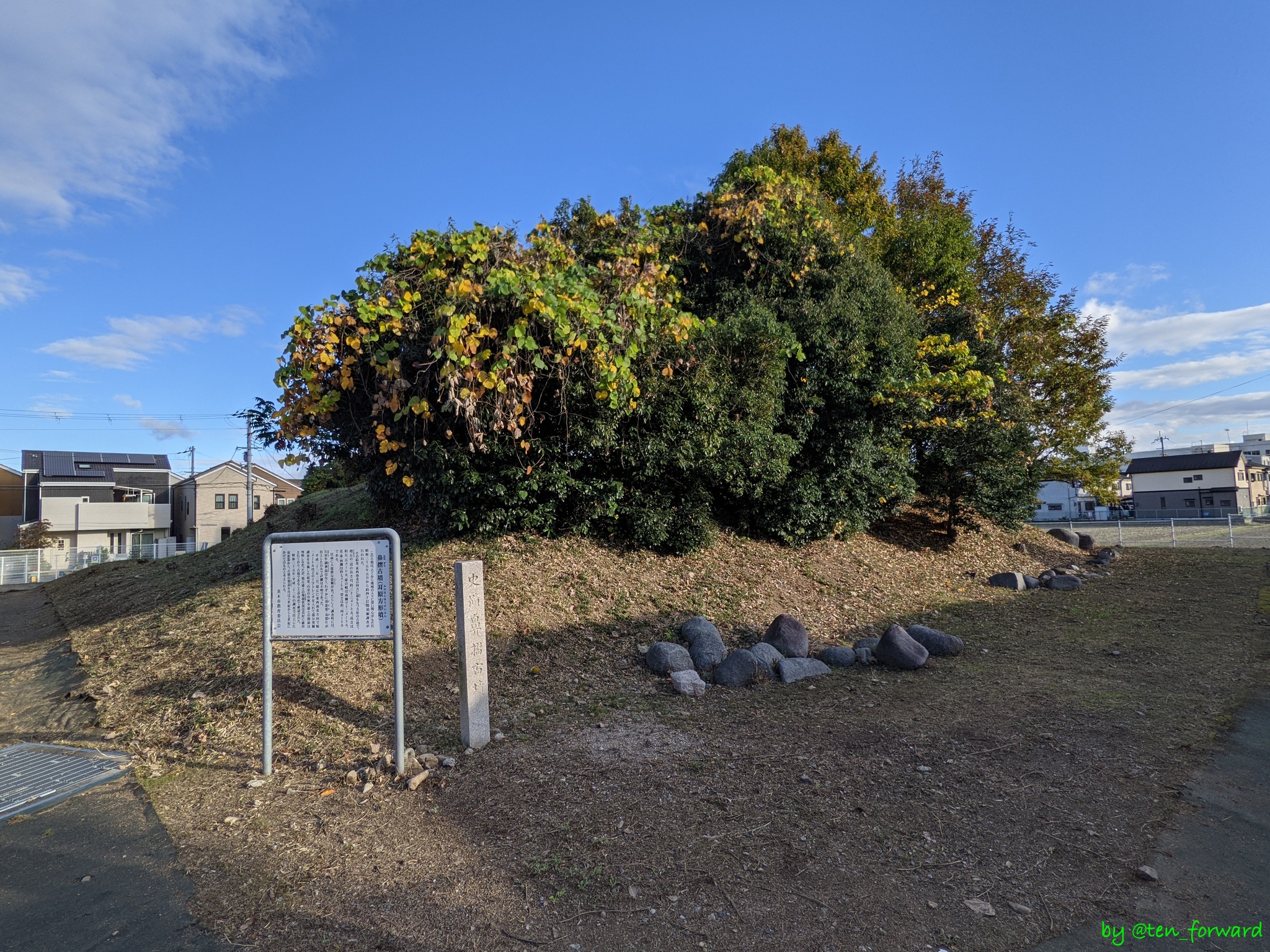 鼻摺古墳（2020年11月）