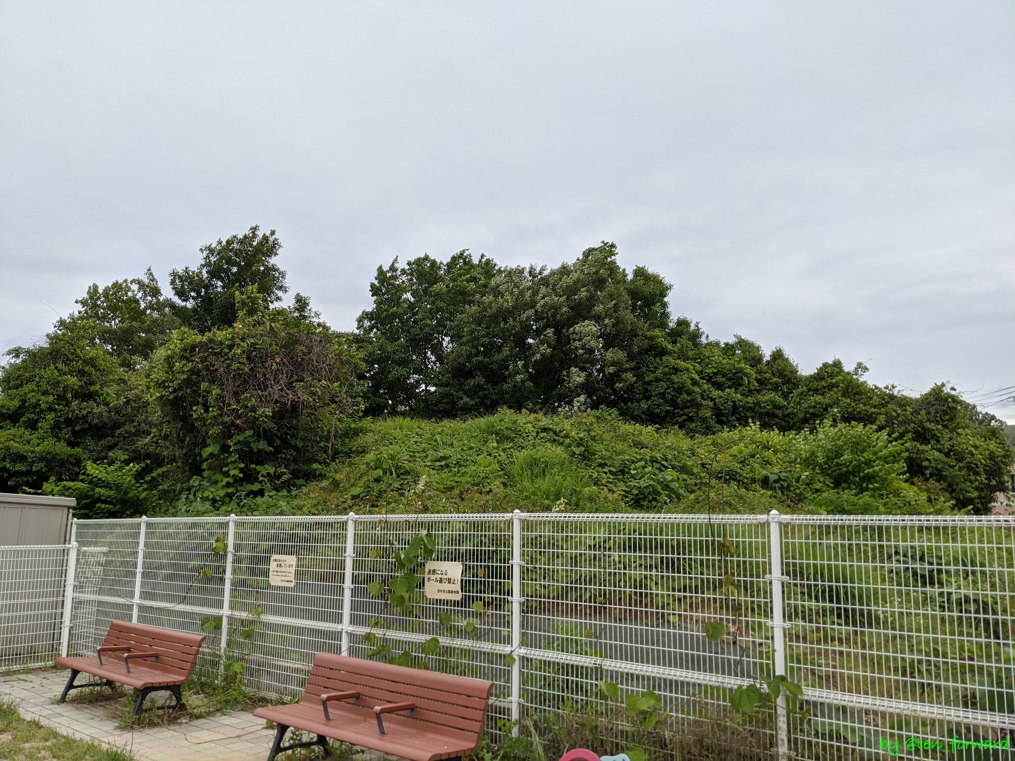 鼻摺古墳（2020年5月）