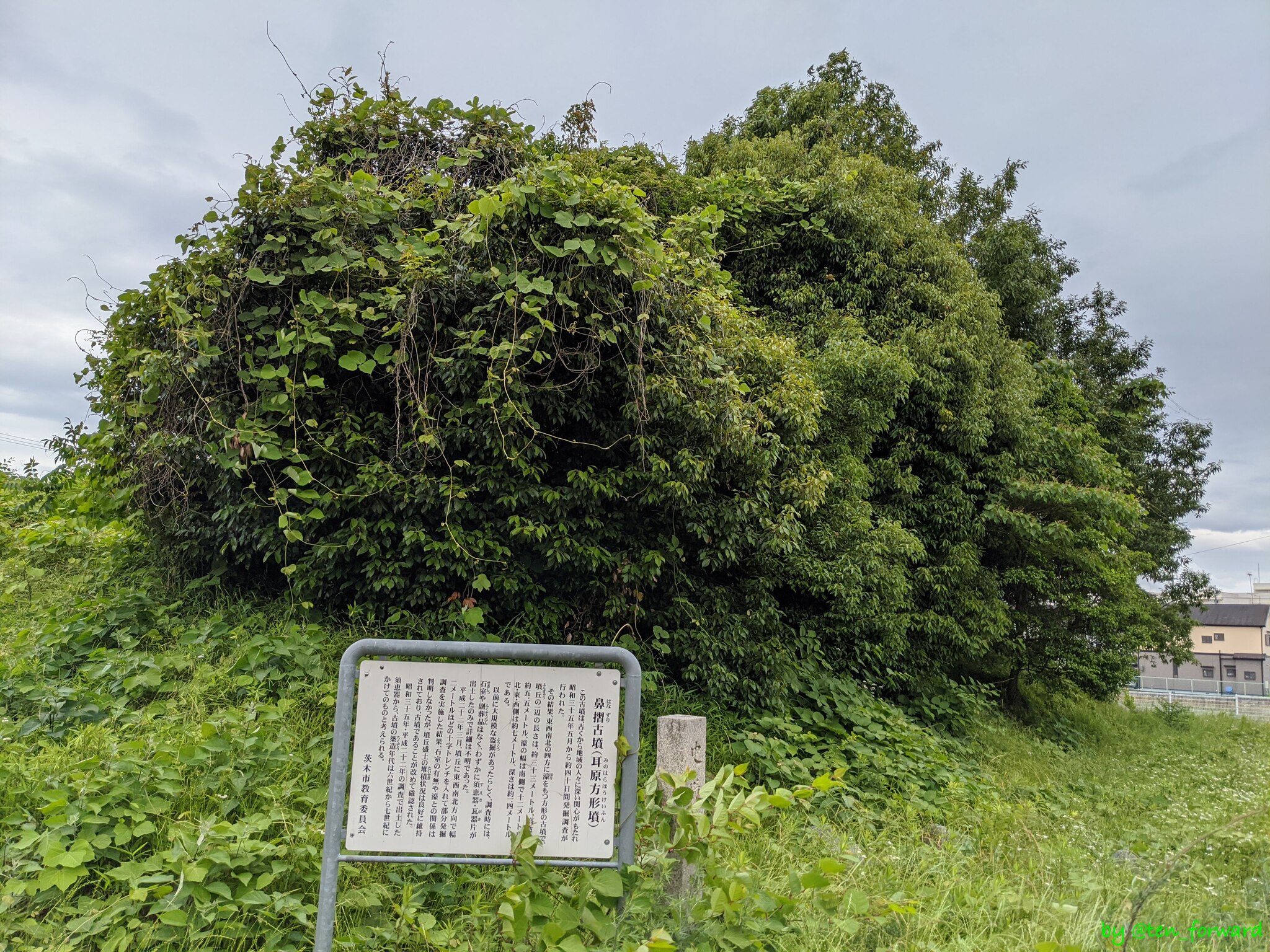 鼻摺古墳（2020年5月）