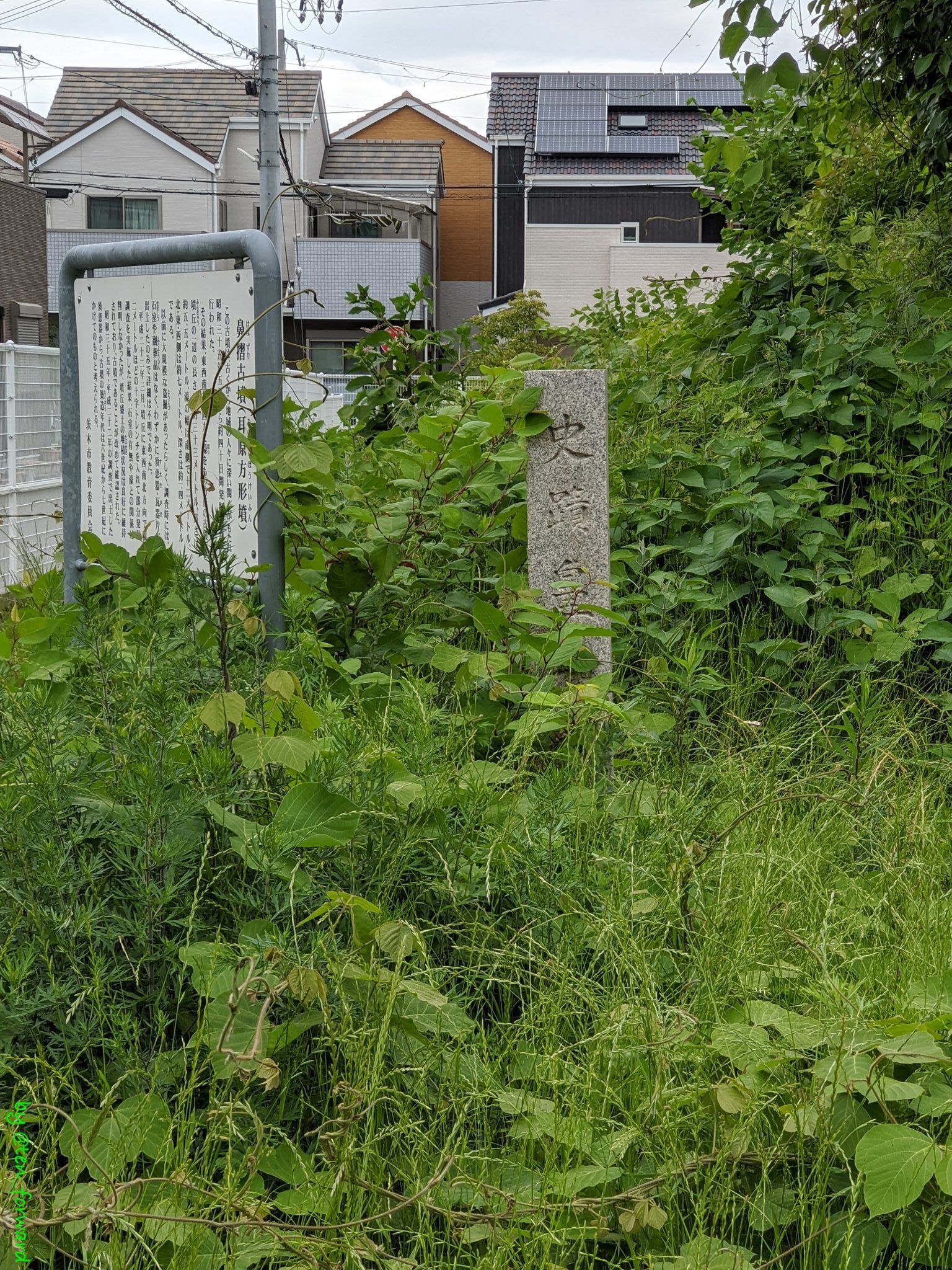 鼻摺古墳（2020年5月）