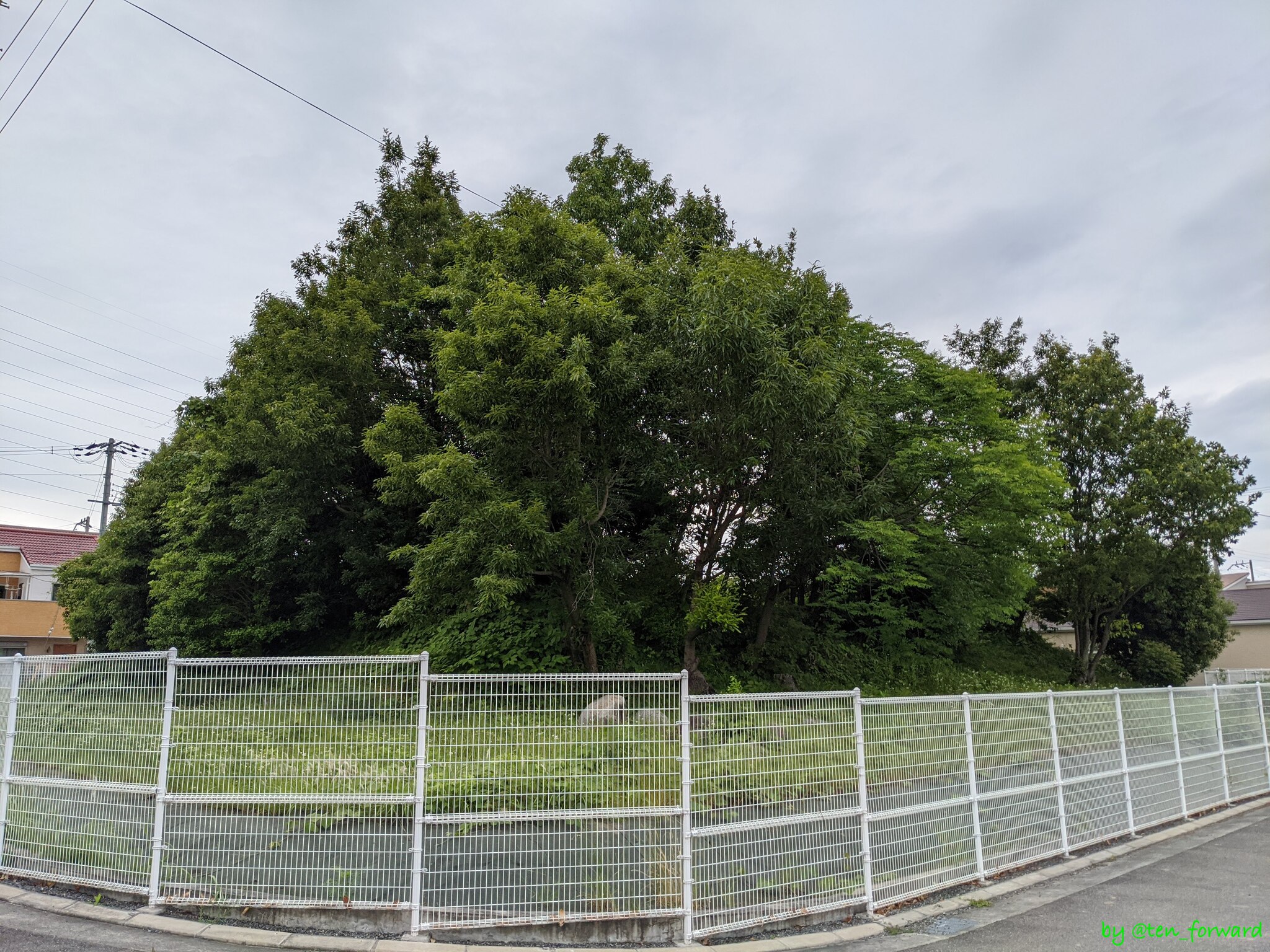 鼻摺古墳（2020年5月）