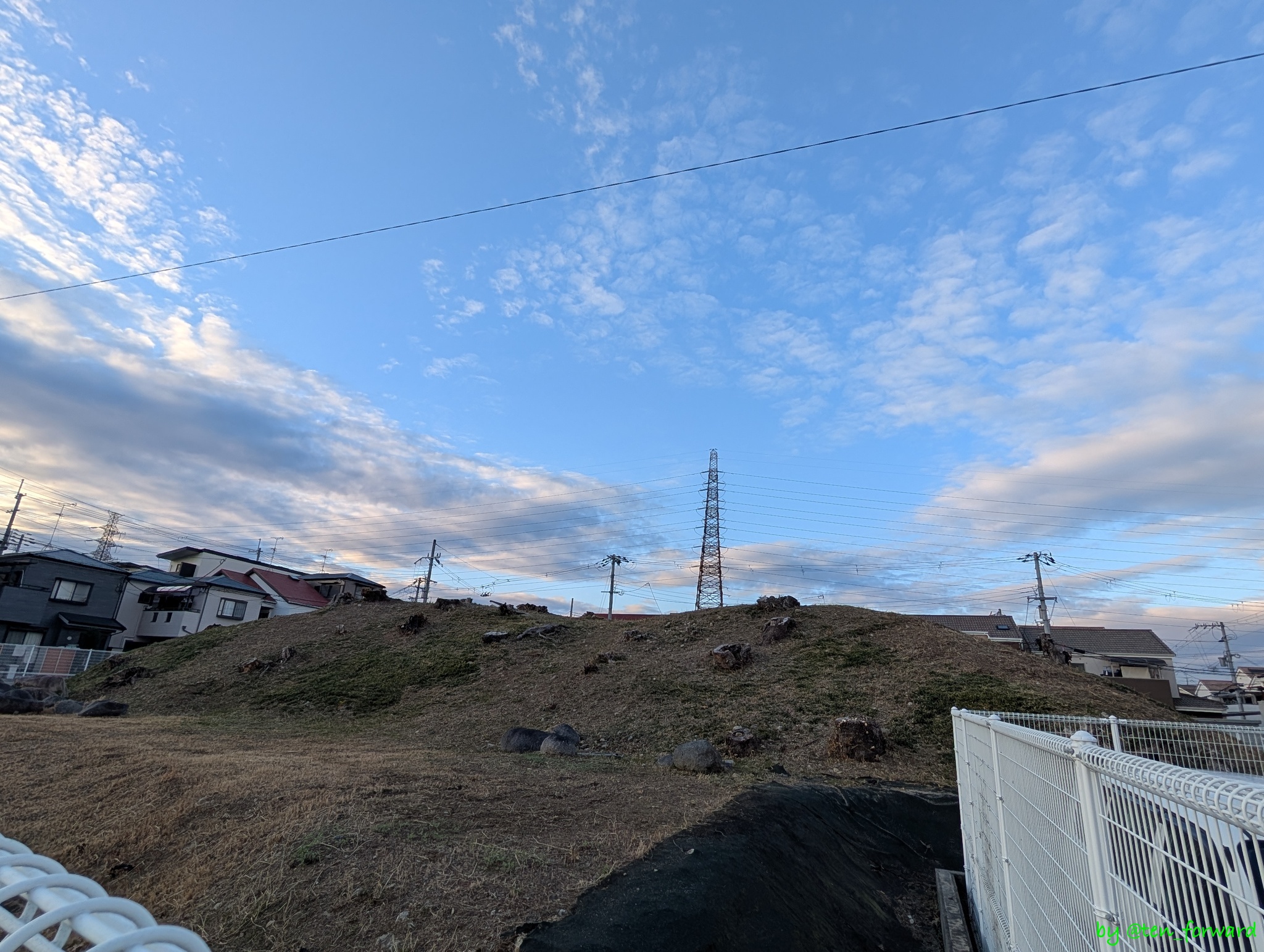 鼻摺古墳（東から）