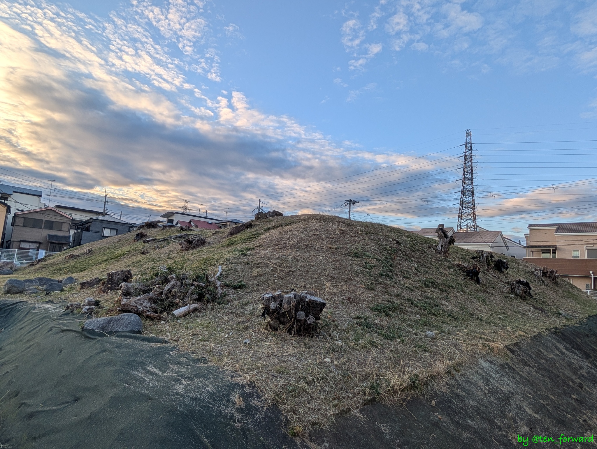 鼻摺古墳（南東から）