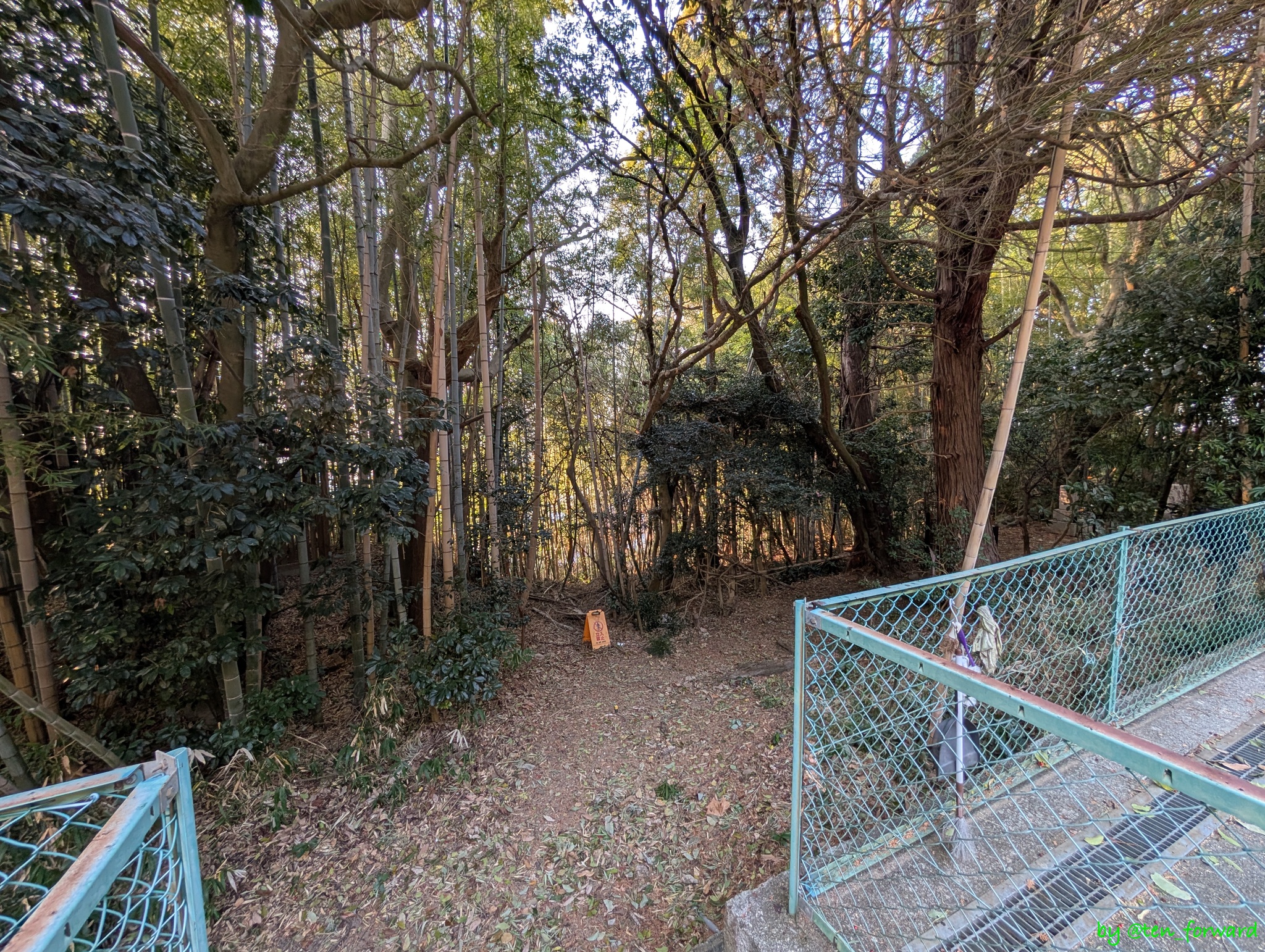 1 号墳への階段下から北方向の墓地を進んだ所