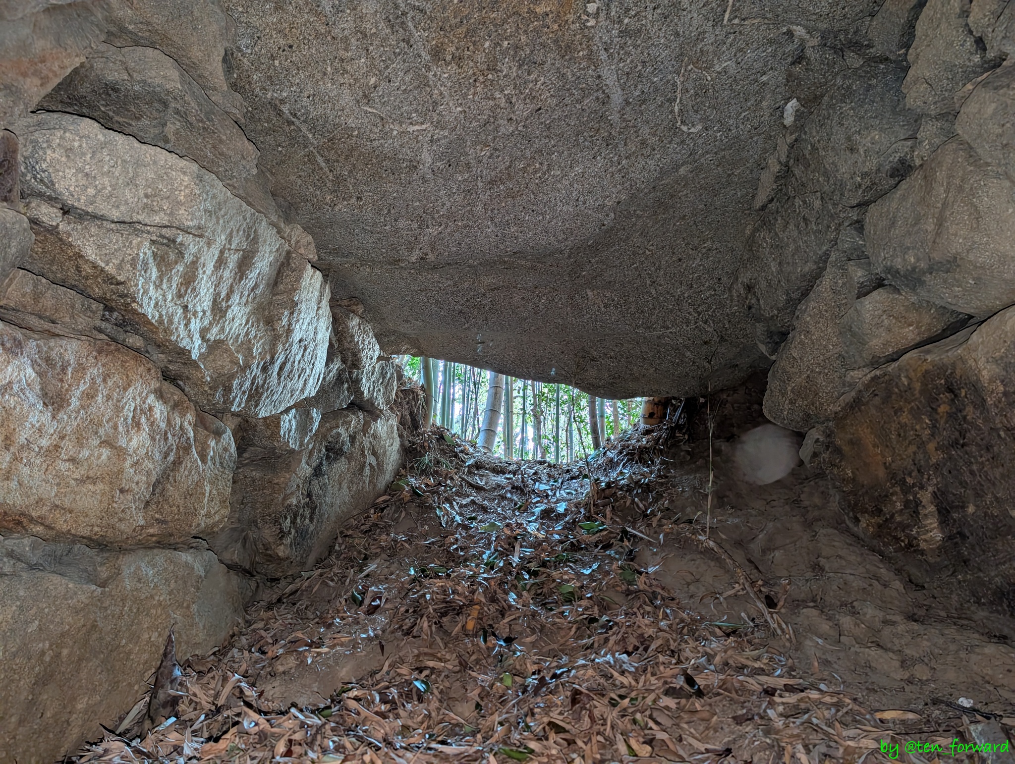 4号墳 玄室から羨道方向