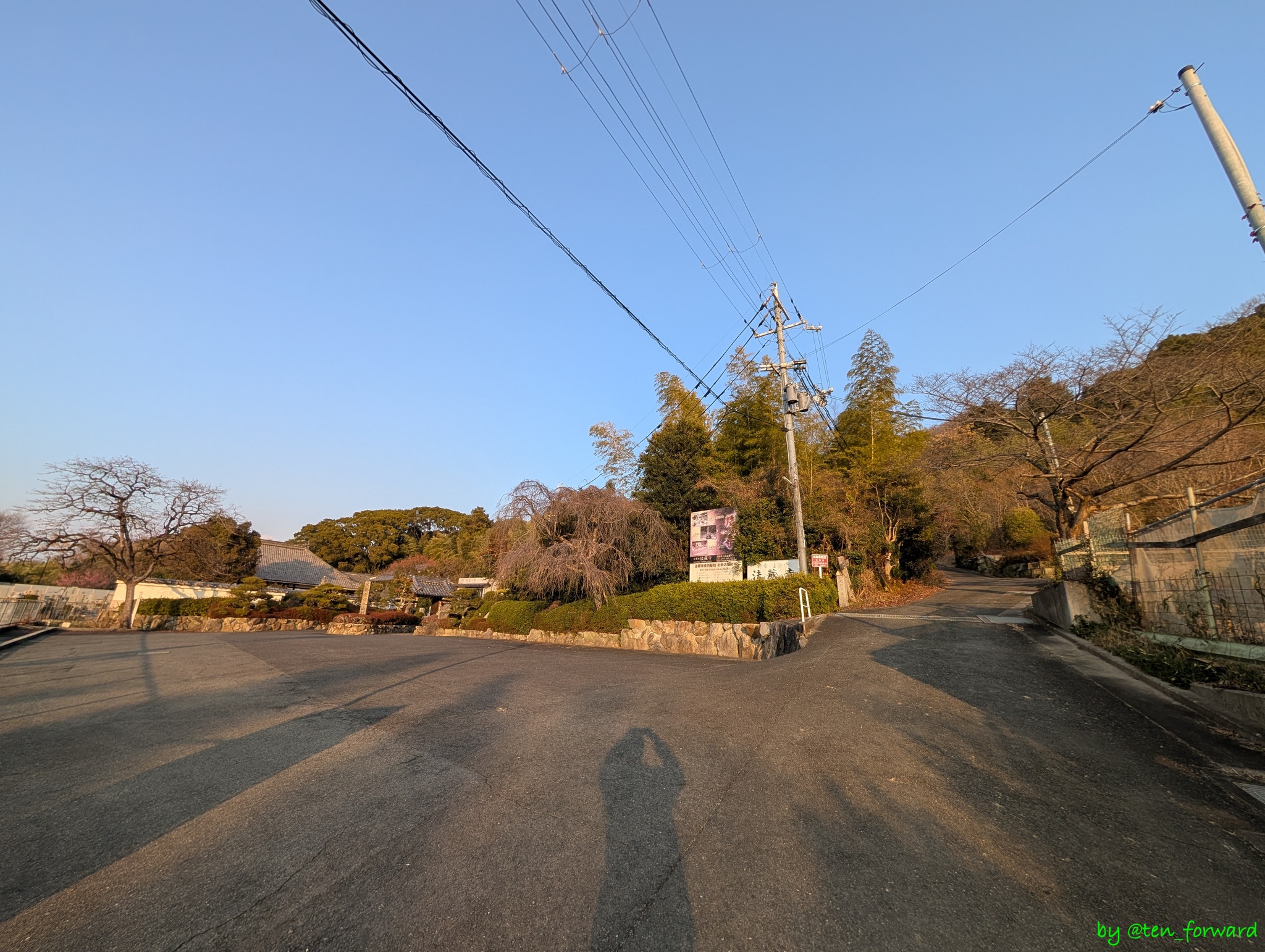 高安山方面に向かう道を上がると見える法蔵寺