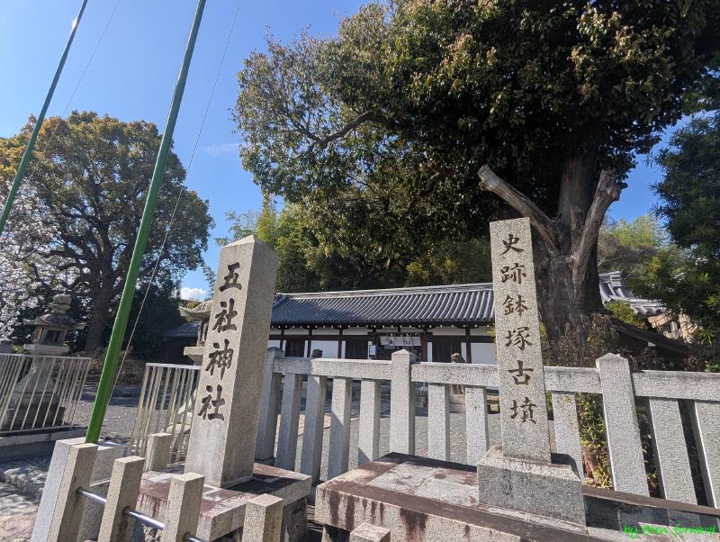 Featured image of post 鉢塚古墳