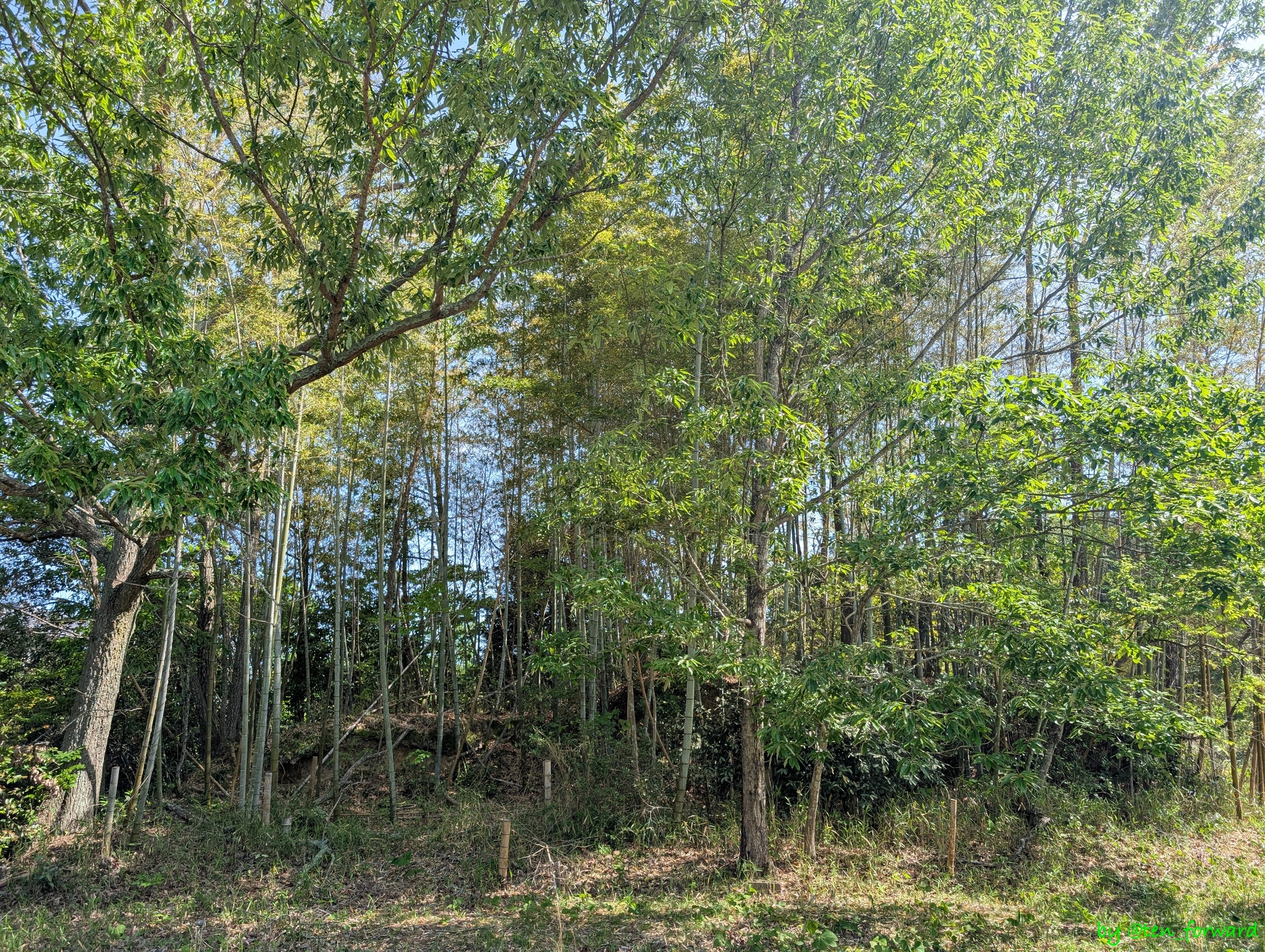 陪塚 2 号墳