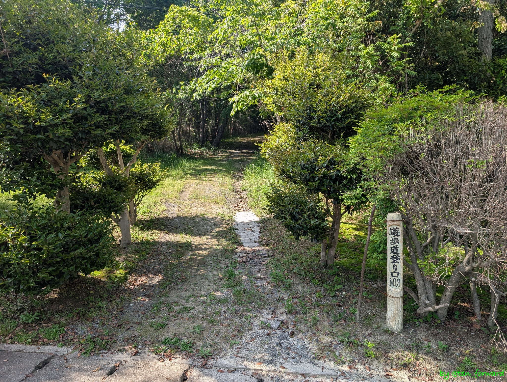 遊歩道登り口 No.3